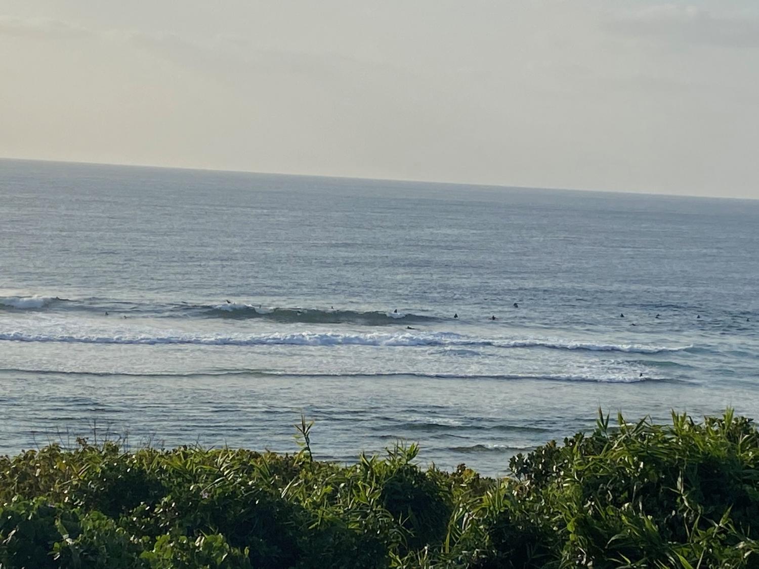 2020 Jan 23th suicide point wave information 4