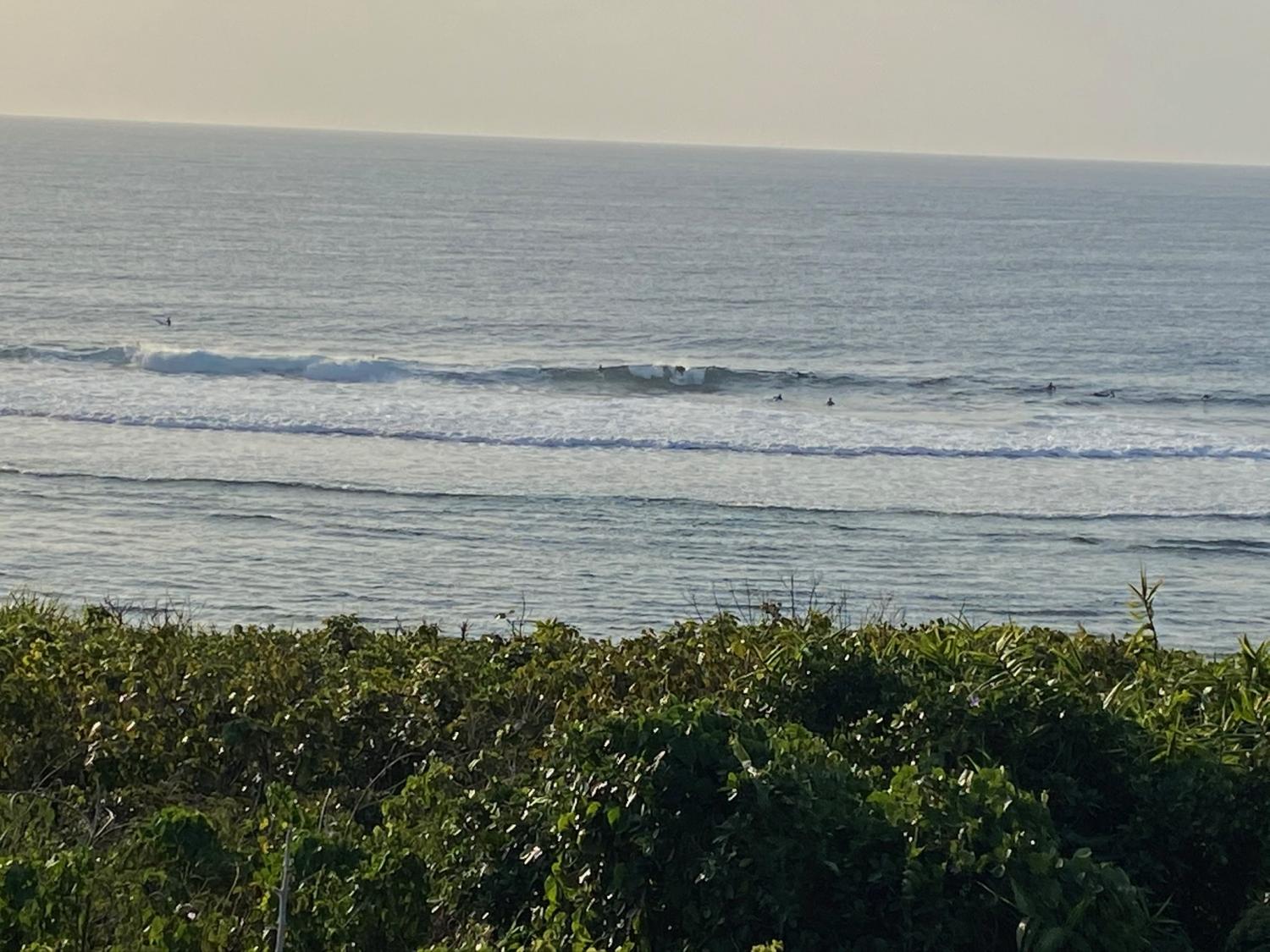 2020 Jan 23th suicide point wave information 5