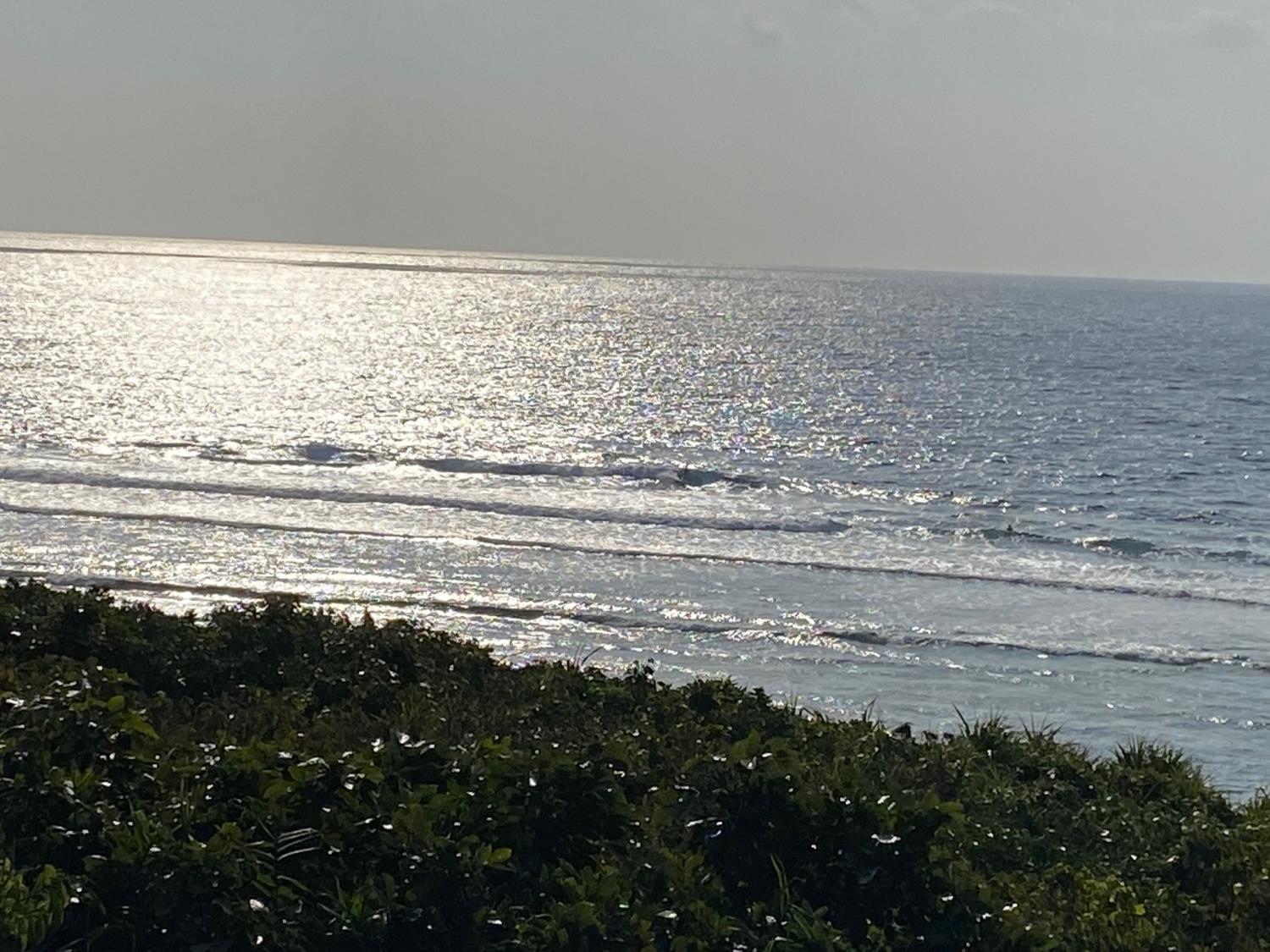 2020 Jan 24th suicide point wave information