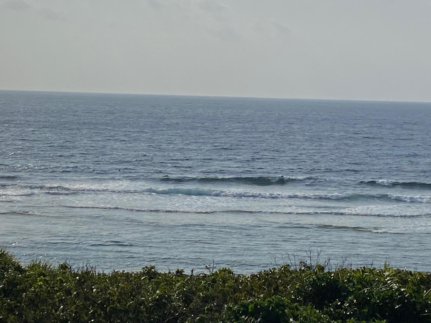 2020 Jan 24th suicide point wave information 2