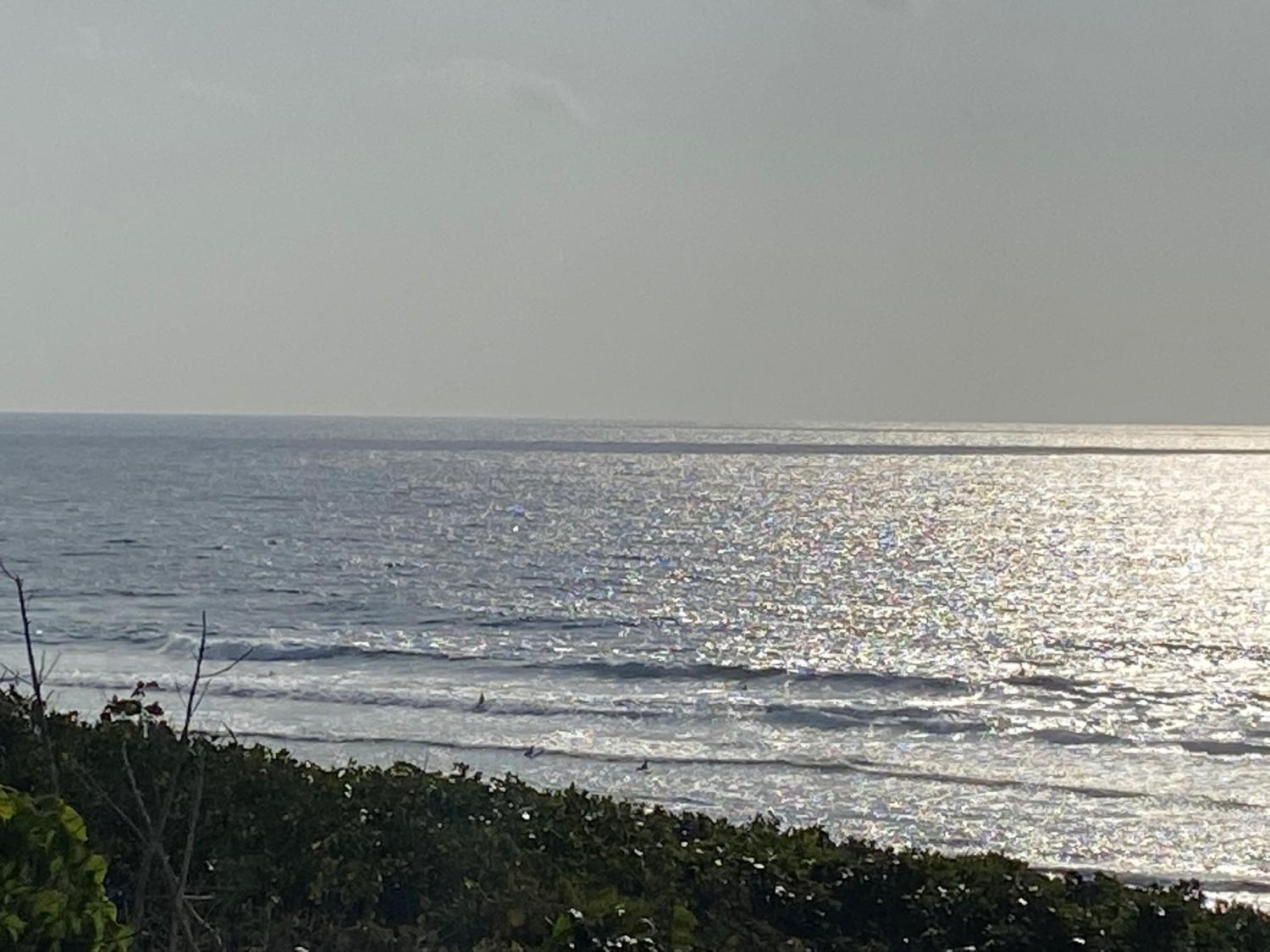 2020 Jan 24th suicide point wave information 3