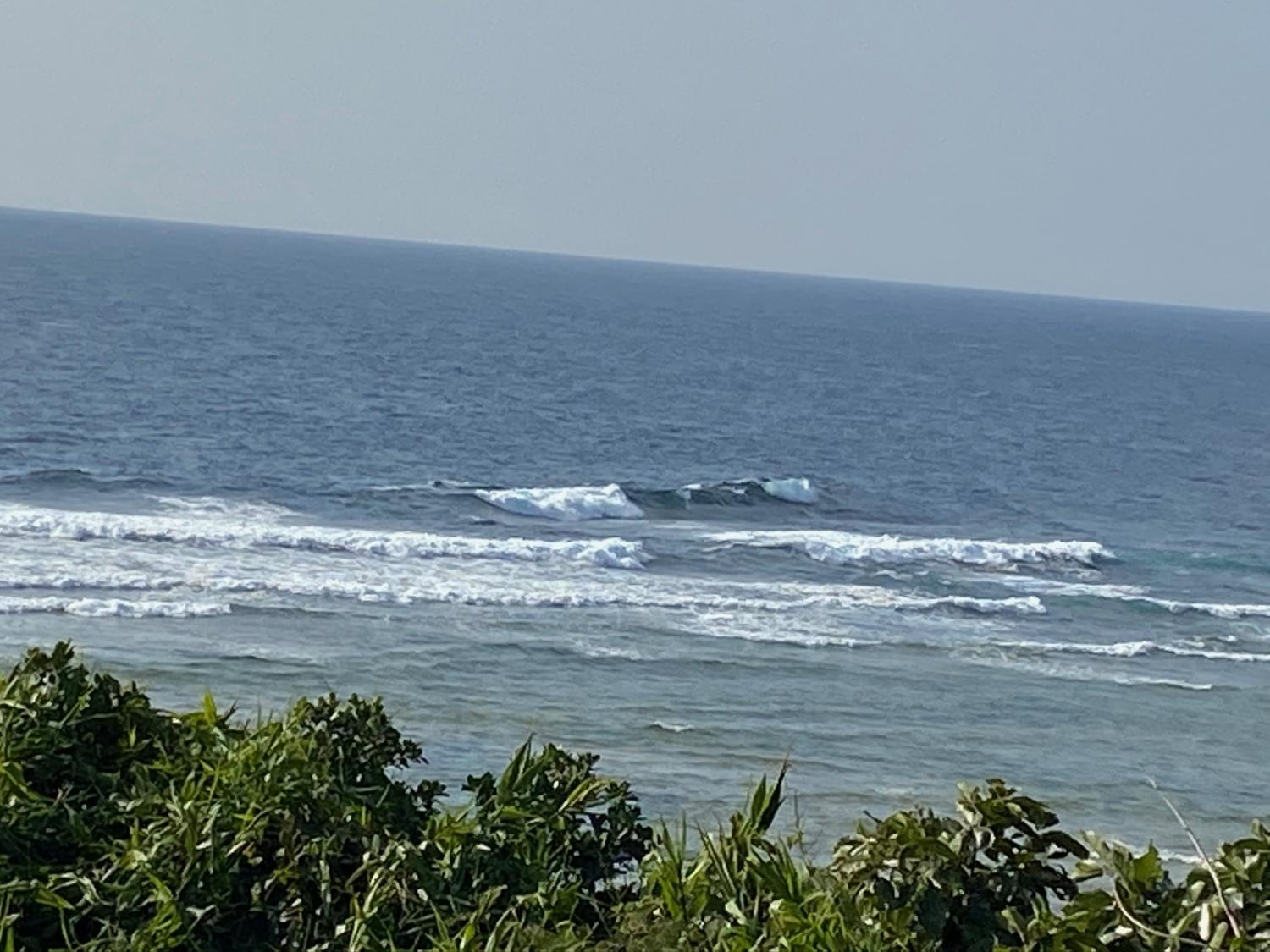 2020 Jan 24th suicide point wave information 4