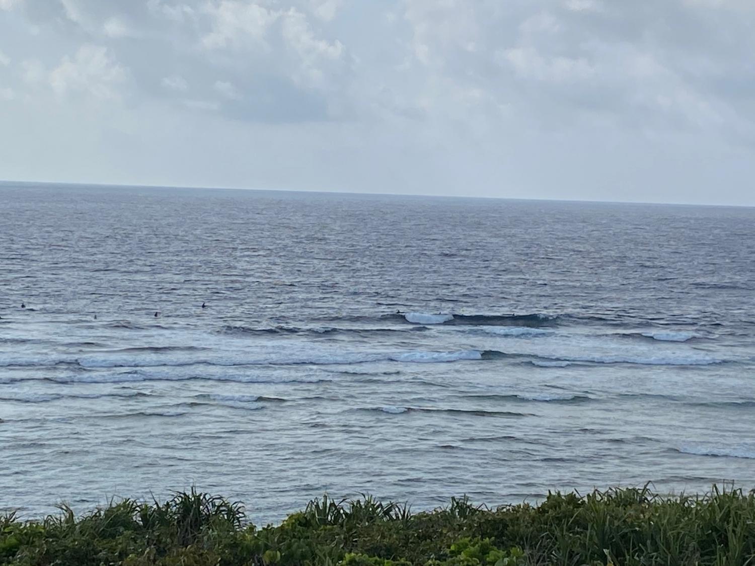 2020 Mar 1st suicide point wave information 3