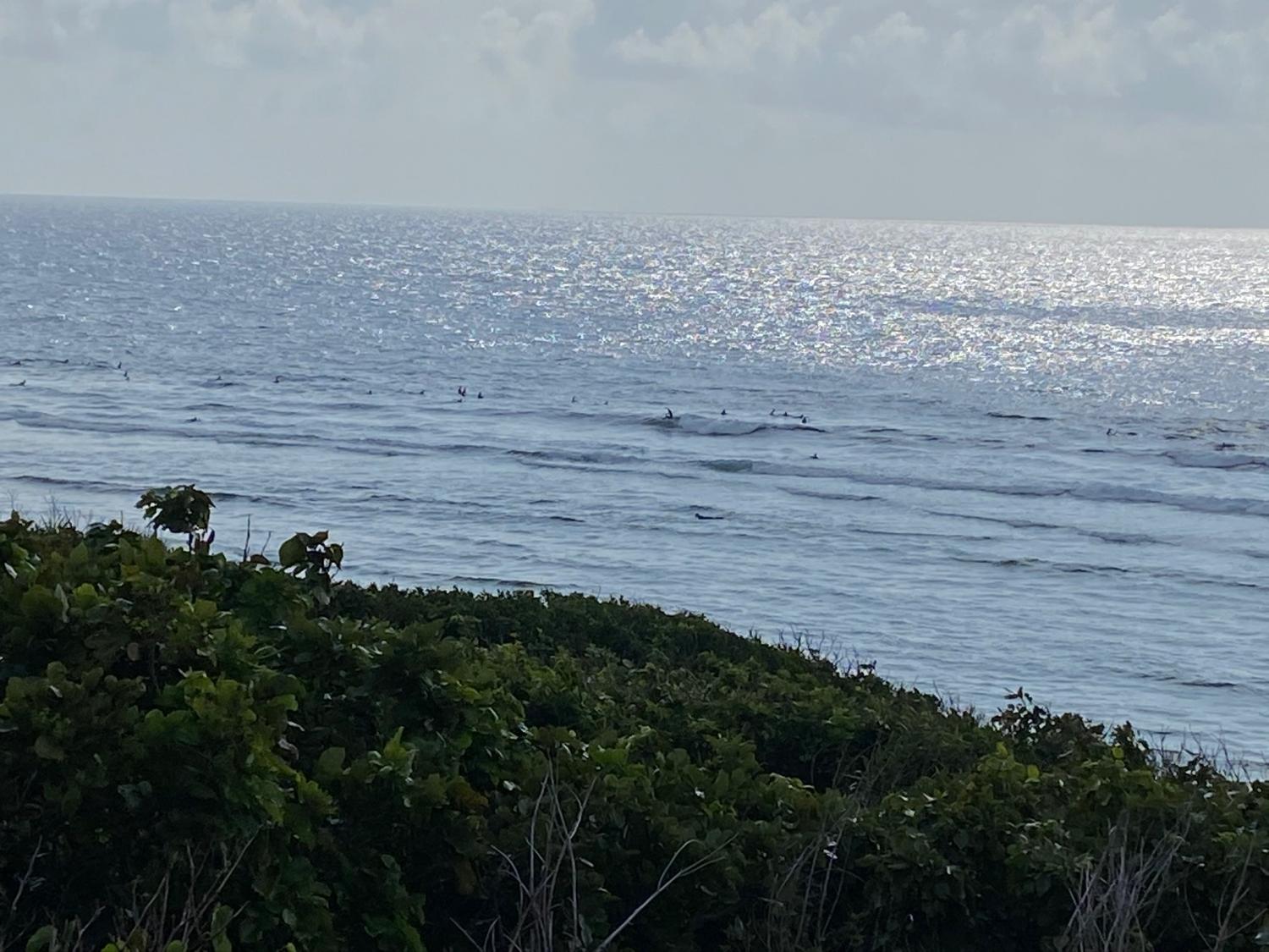 2020 Mar 1st suicide point wave information 4