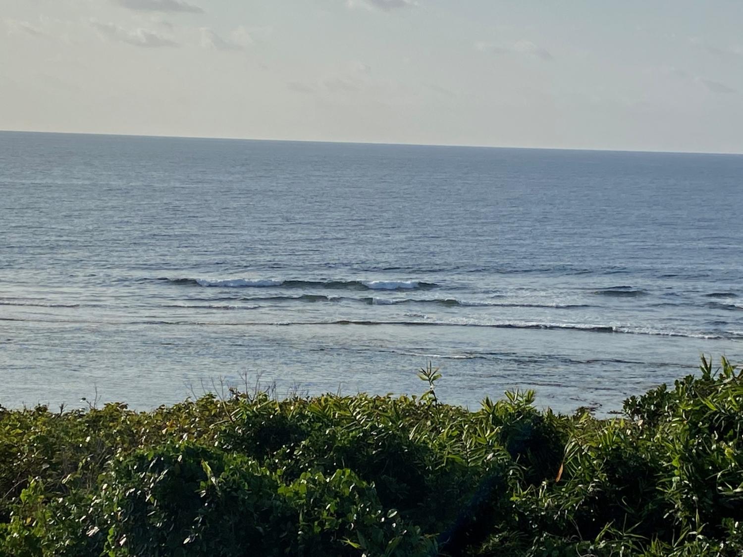 2020 Mar 3rd suicide point wave information 2