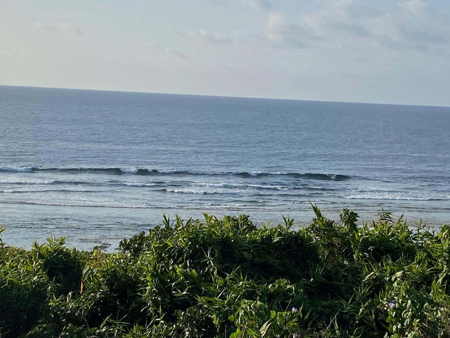 2020 Mar 3rd suicide point wave information 3