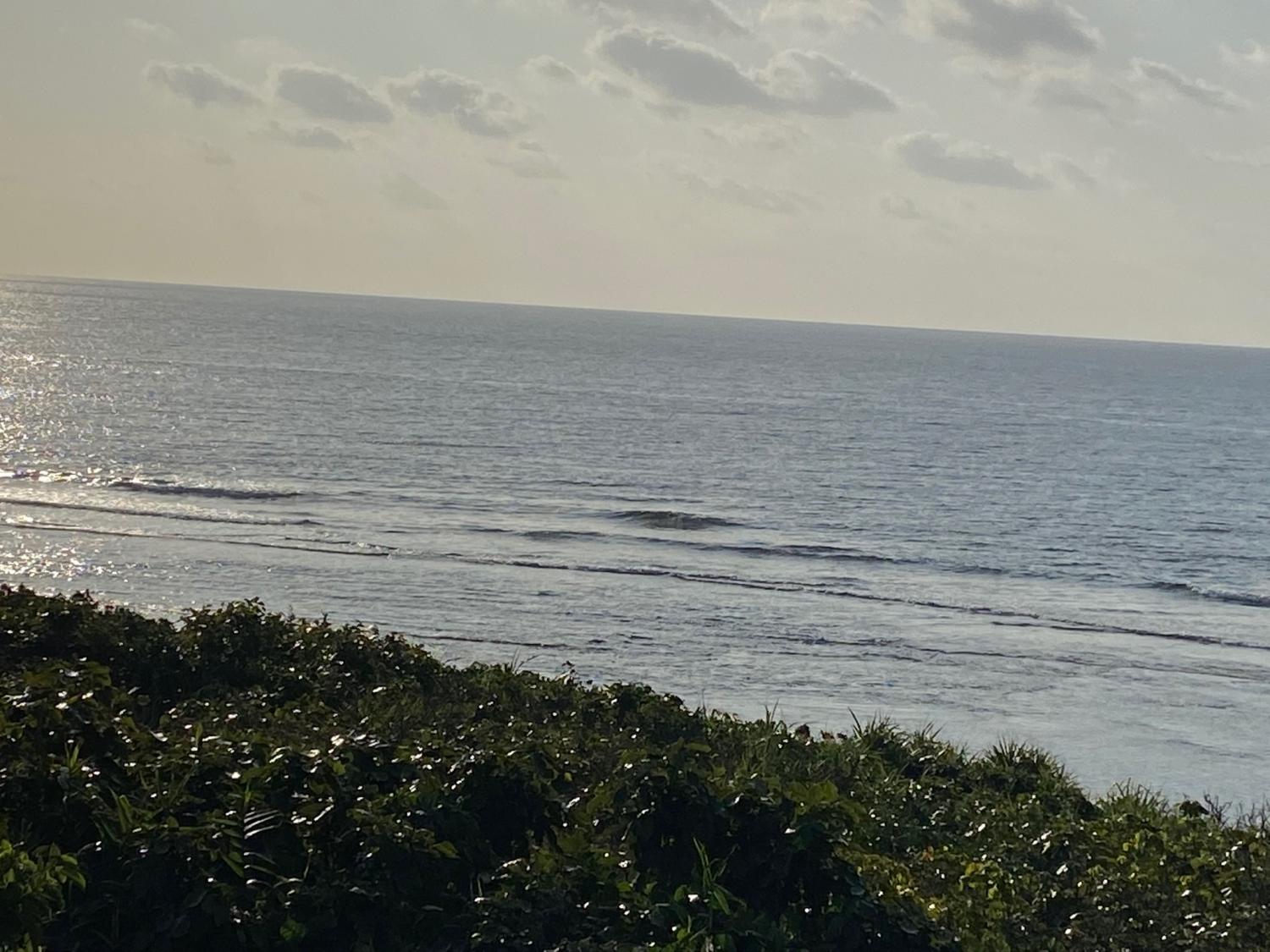 2020 Mar 3rd suicide point wave information 4