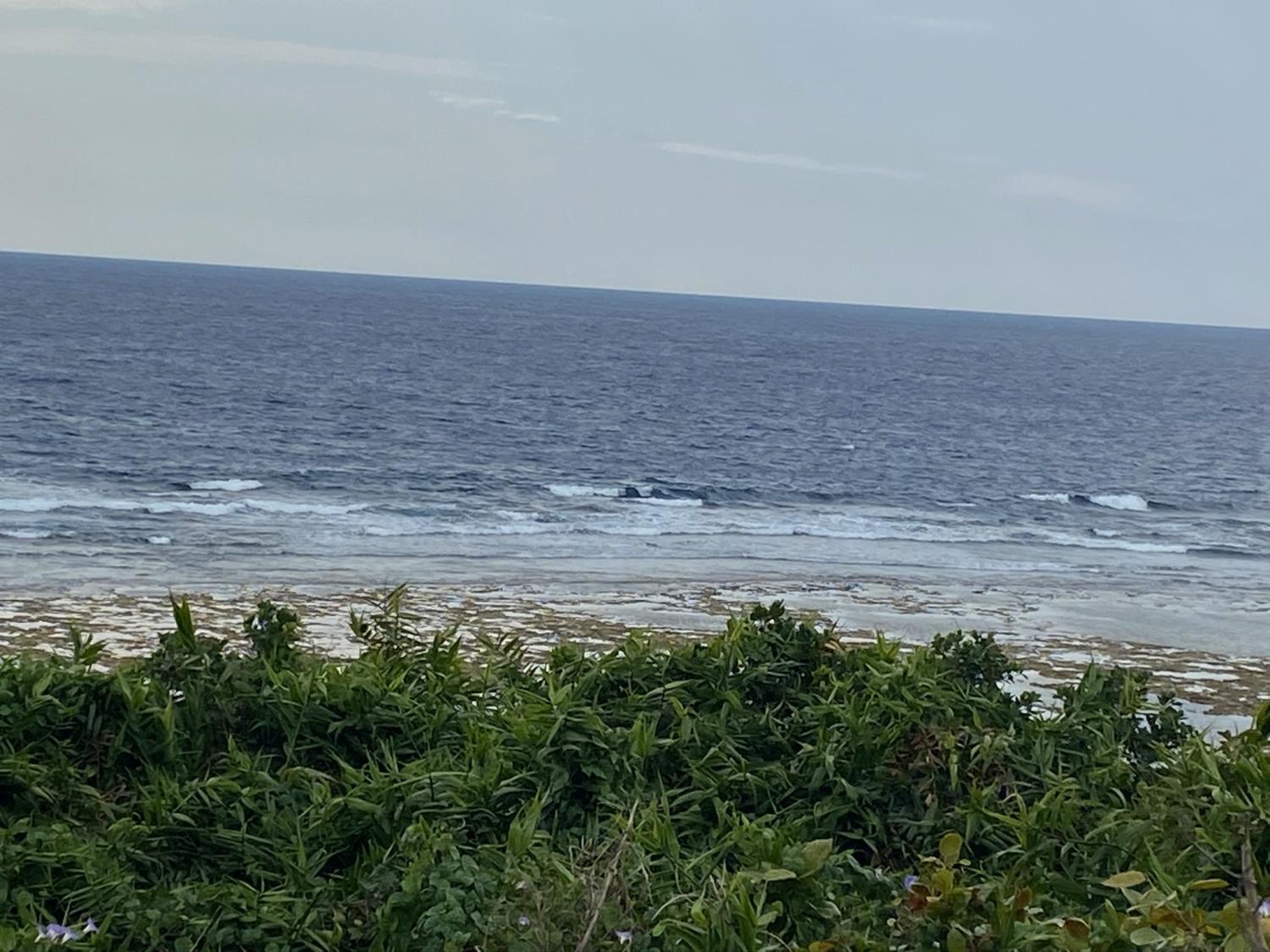 2020 Mar 7th suicide point wave information 2