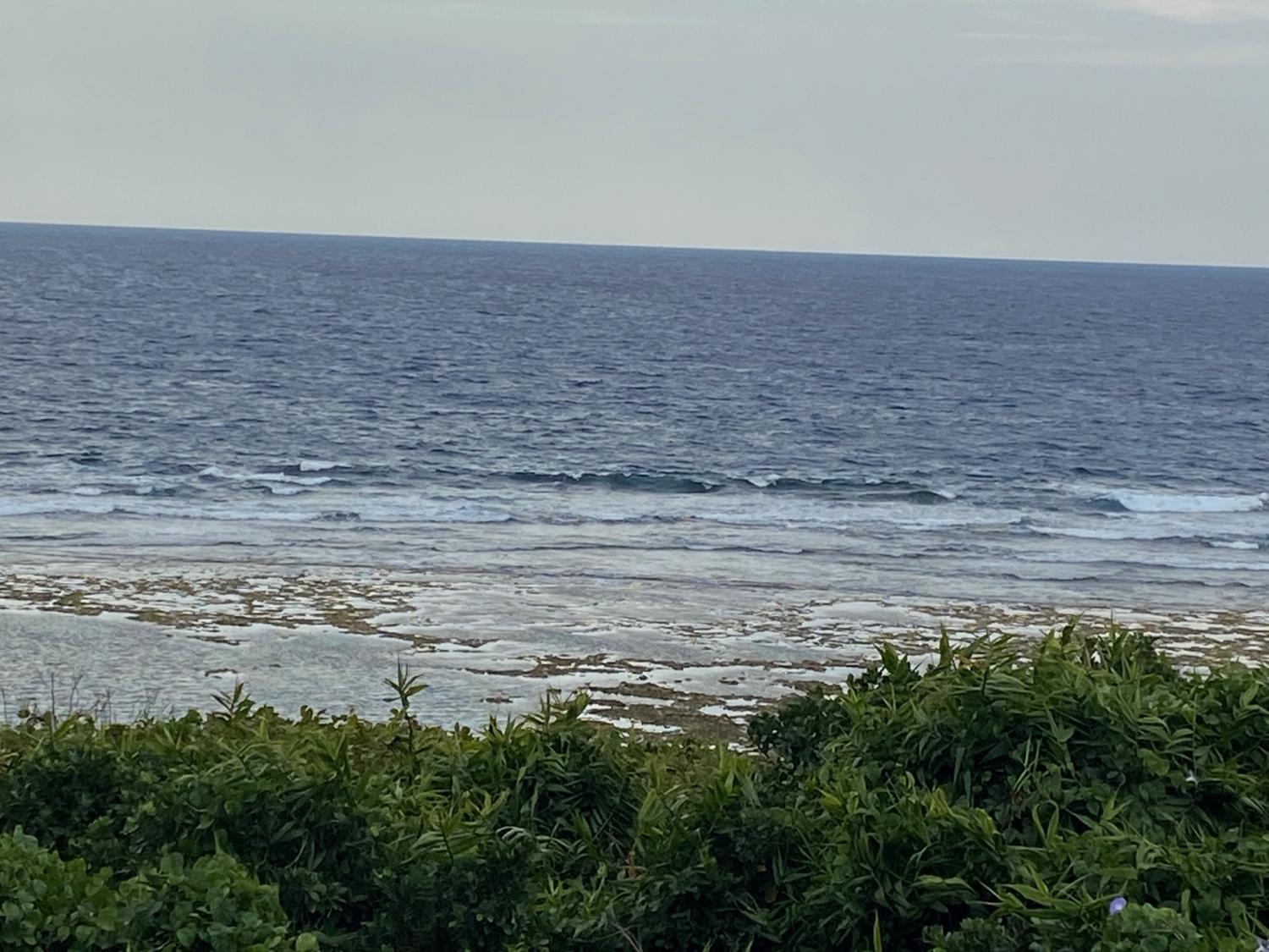 2020 Mar 7th suicide point wave information 3