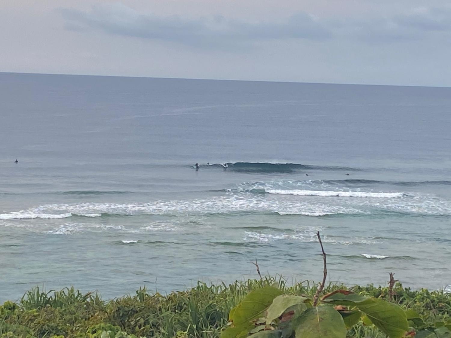 2020 Mar 8th suicide point wave information 5