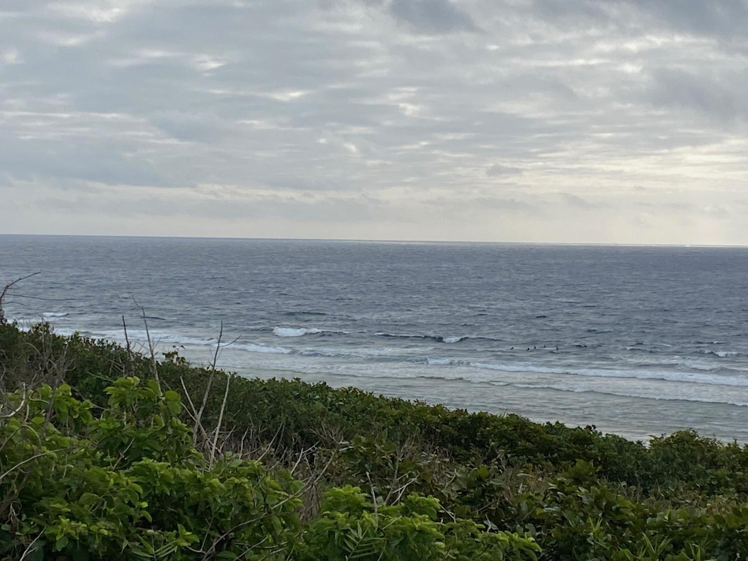 2020 Mar 9th suicide point wave information 3
