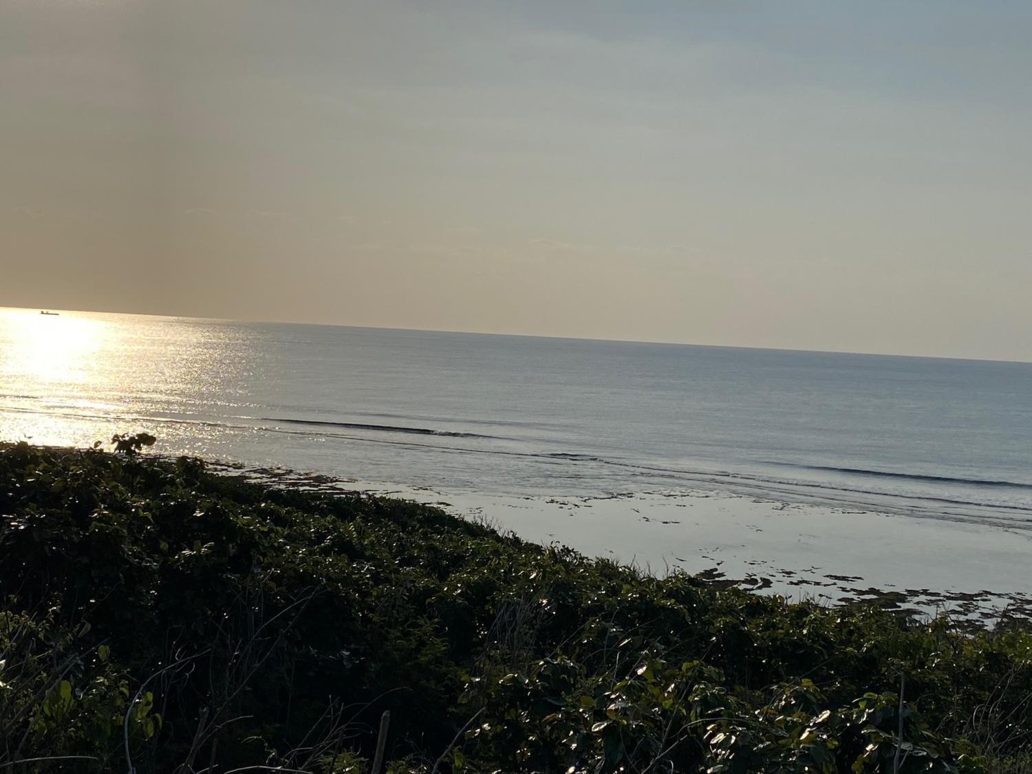 2020 Mar 16th suicide point wave information 2