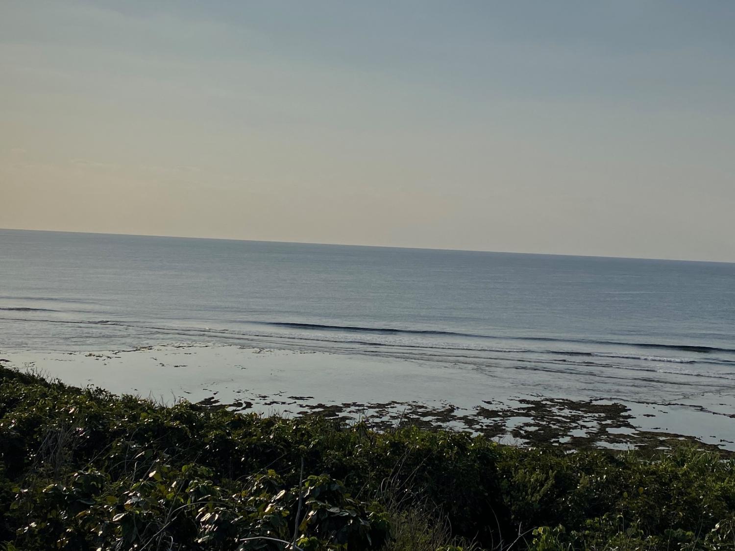 2020 Mar 16th suicide point wave information 3