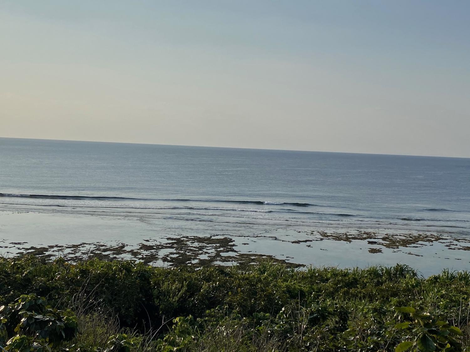 2020 Mar 16th suicide point wave information 4
