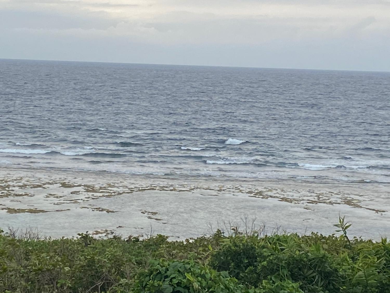 2020 Mar 19th suicide point wave information