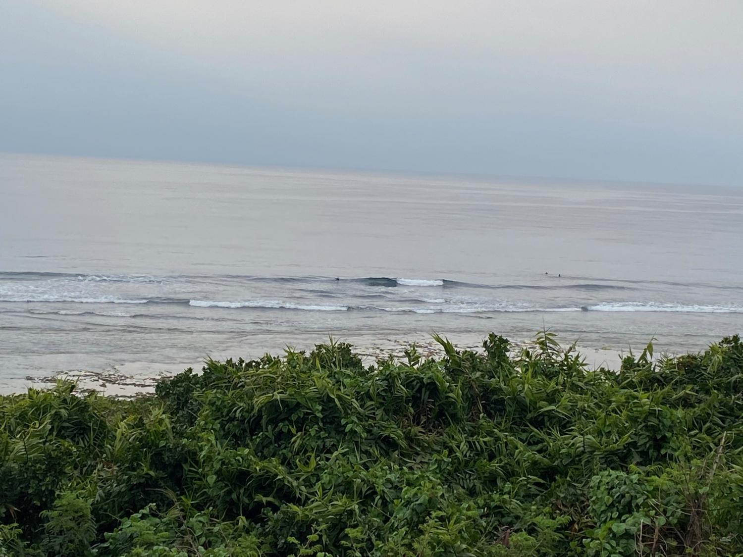 2020 Mar 20th suicide point wave information