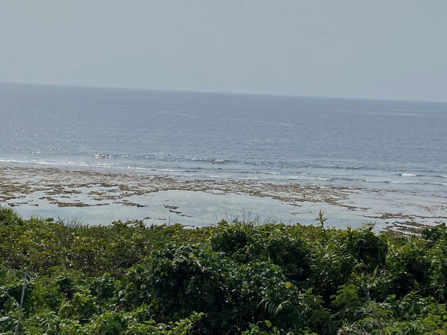 2020 Mar 21th suicide point wave information 2