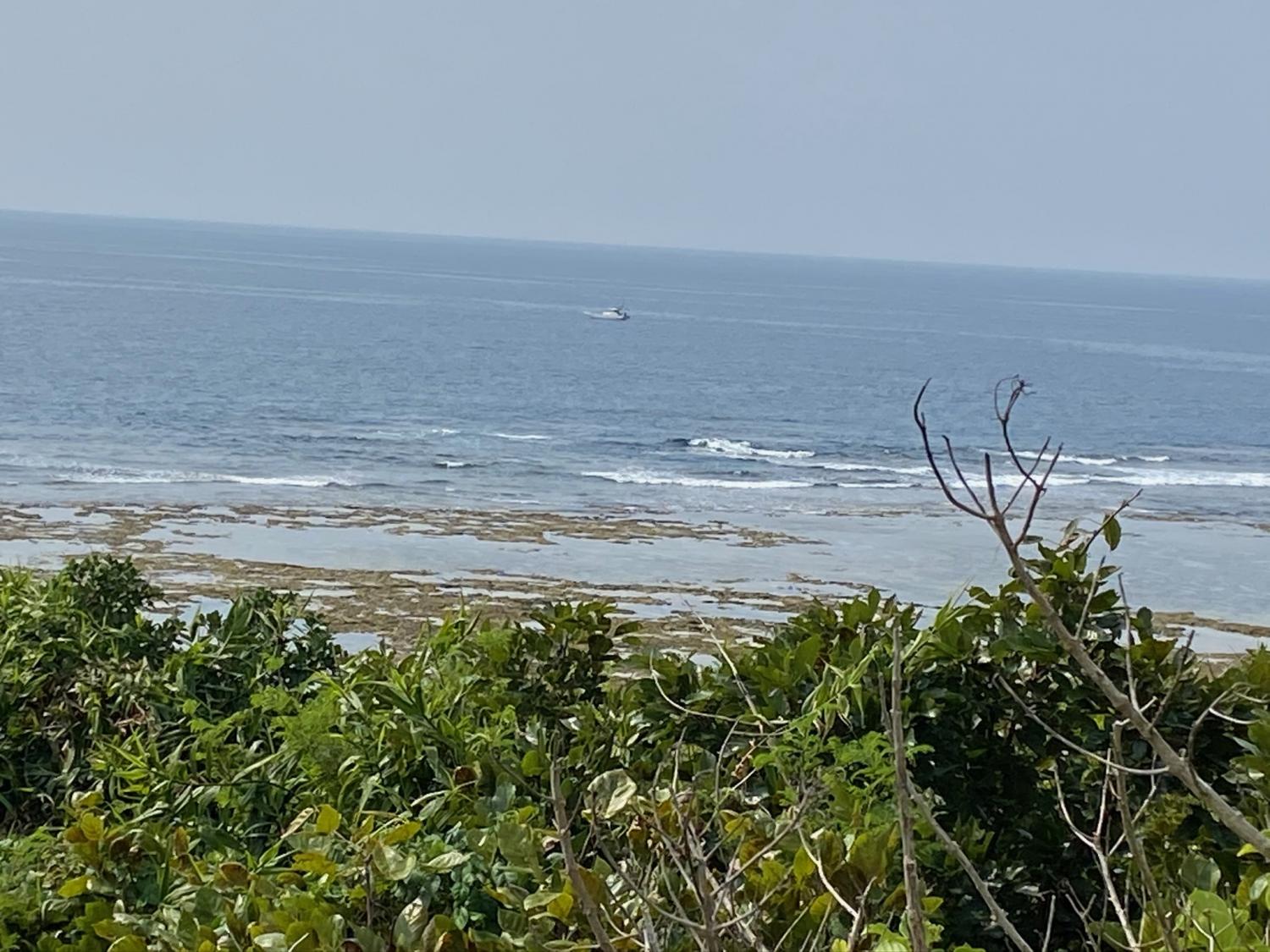 2020 Mar 21th suicide point wave information 3