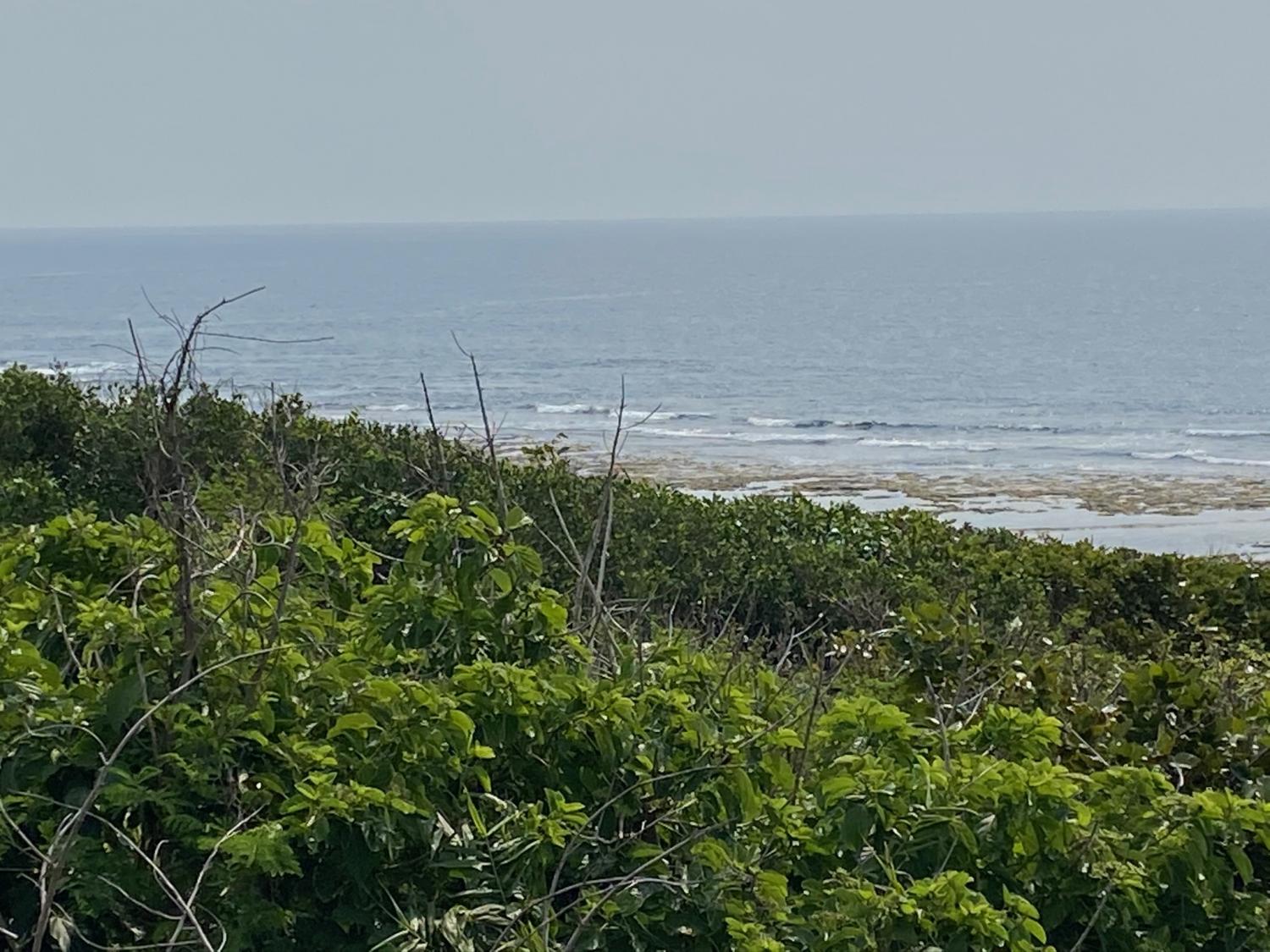 2020 Mar 21th suicide point wave information 4