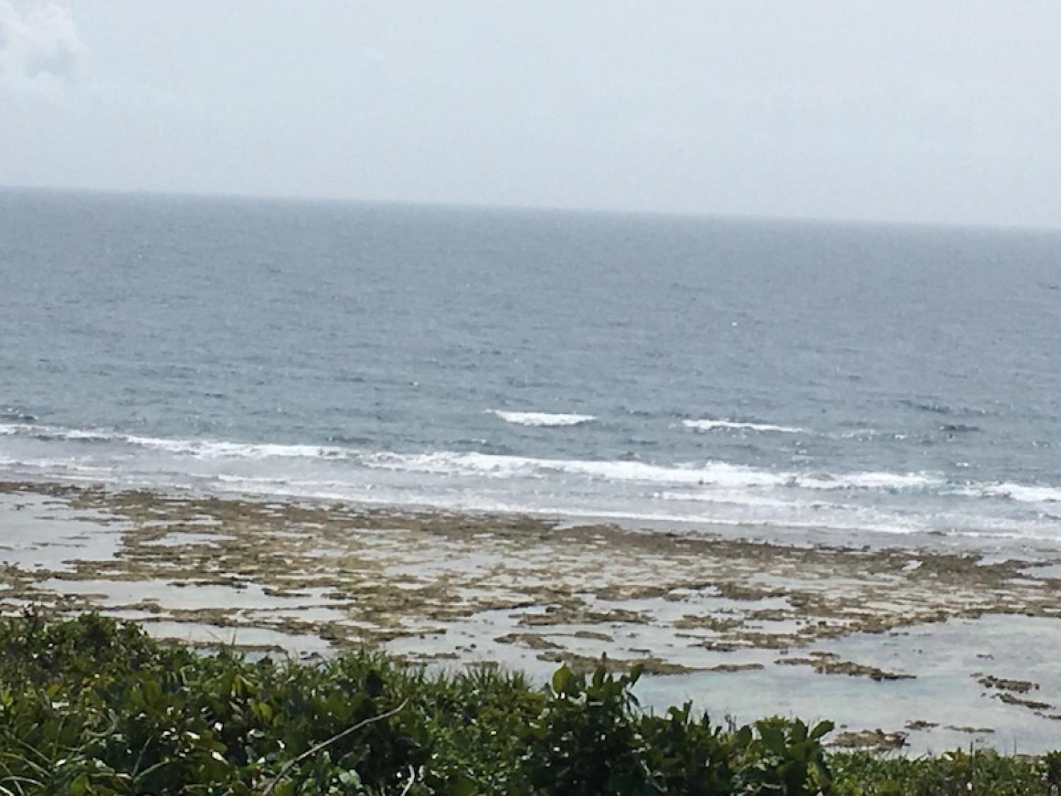 2020 Mar 22th suicide point wave information