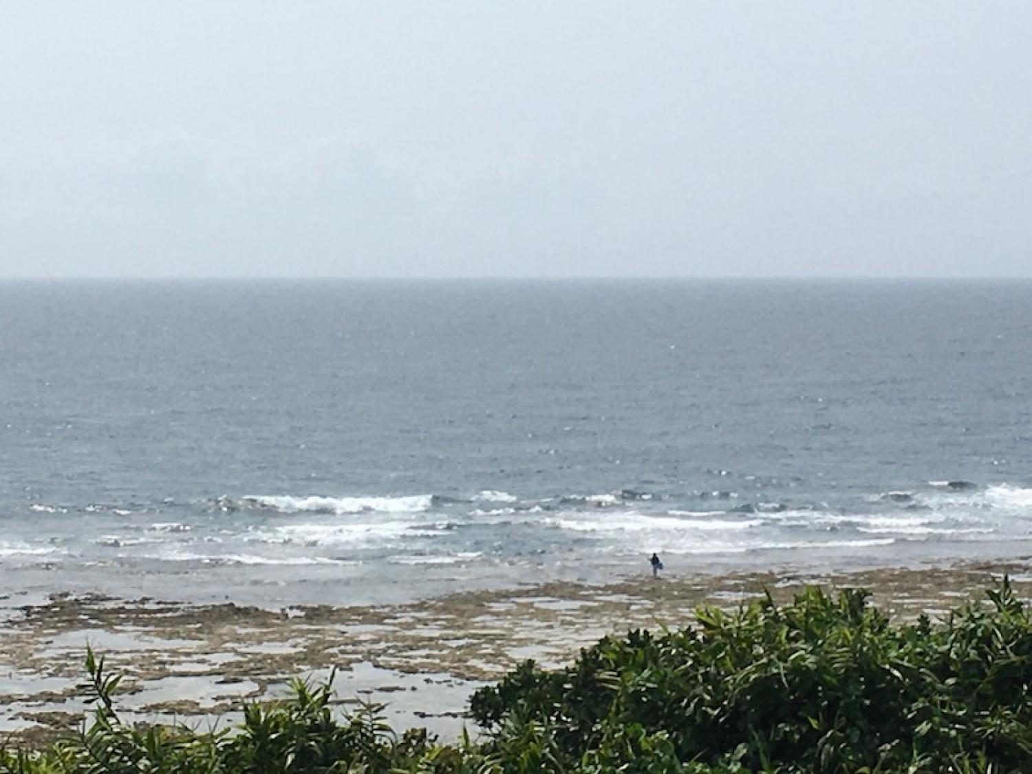 2020 Mar 22th suicide point wave information 2