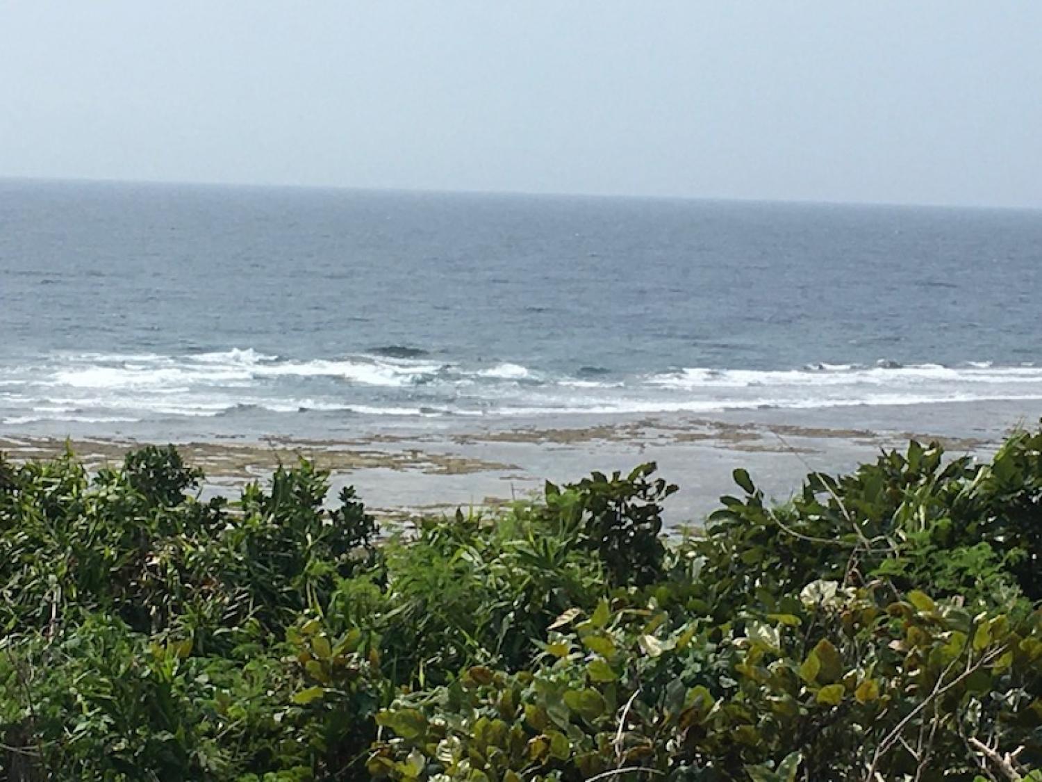 2020 Mar 22th suicide point wave information 3