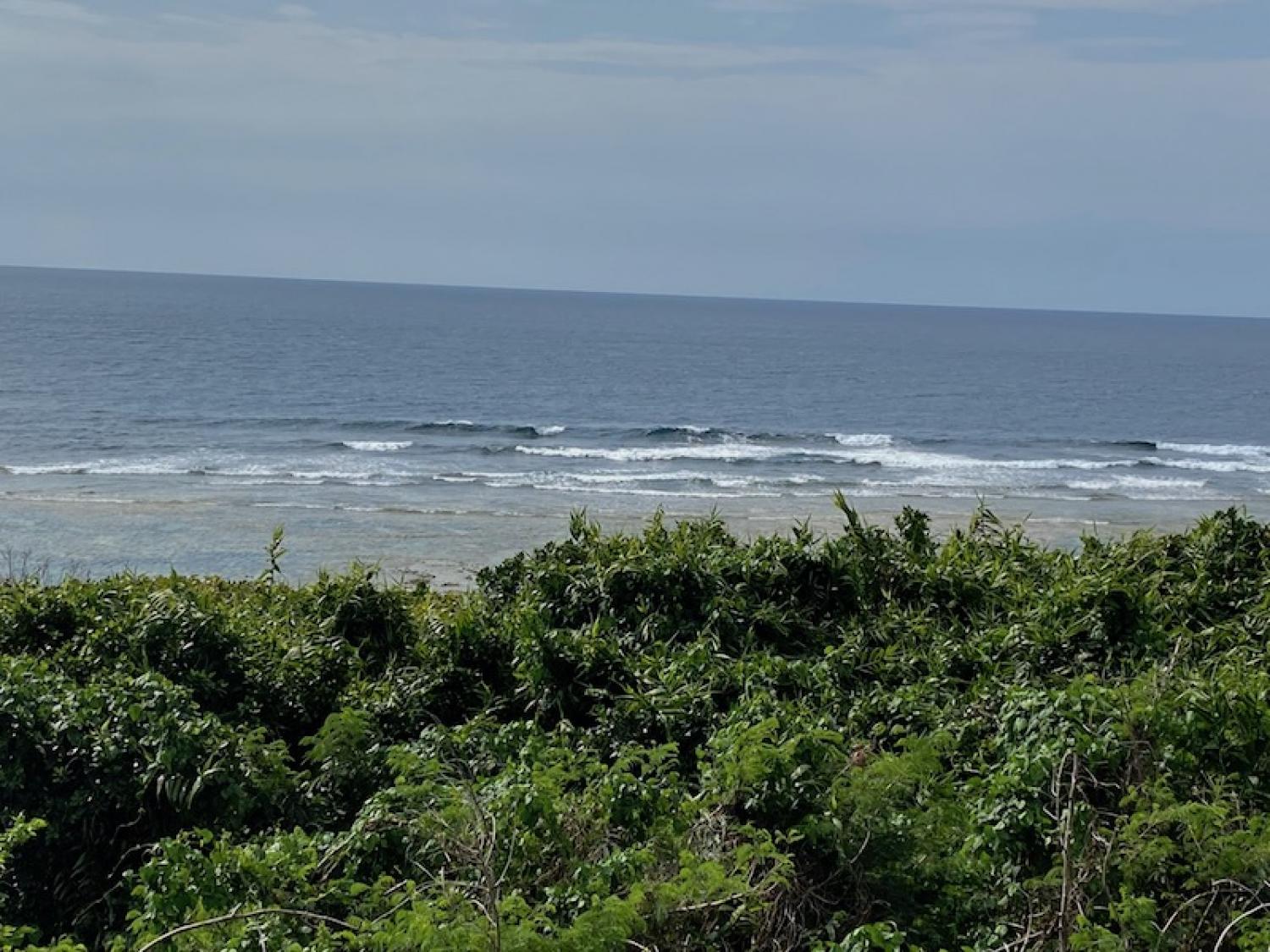 2020 Mar 24th suicide point wave information 2