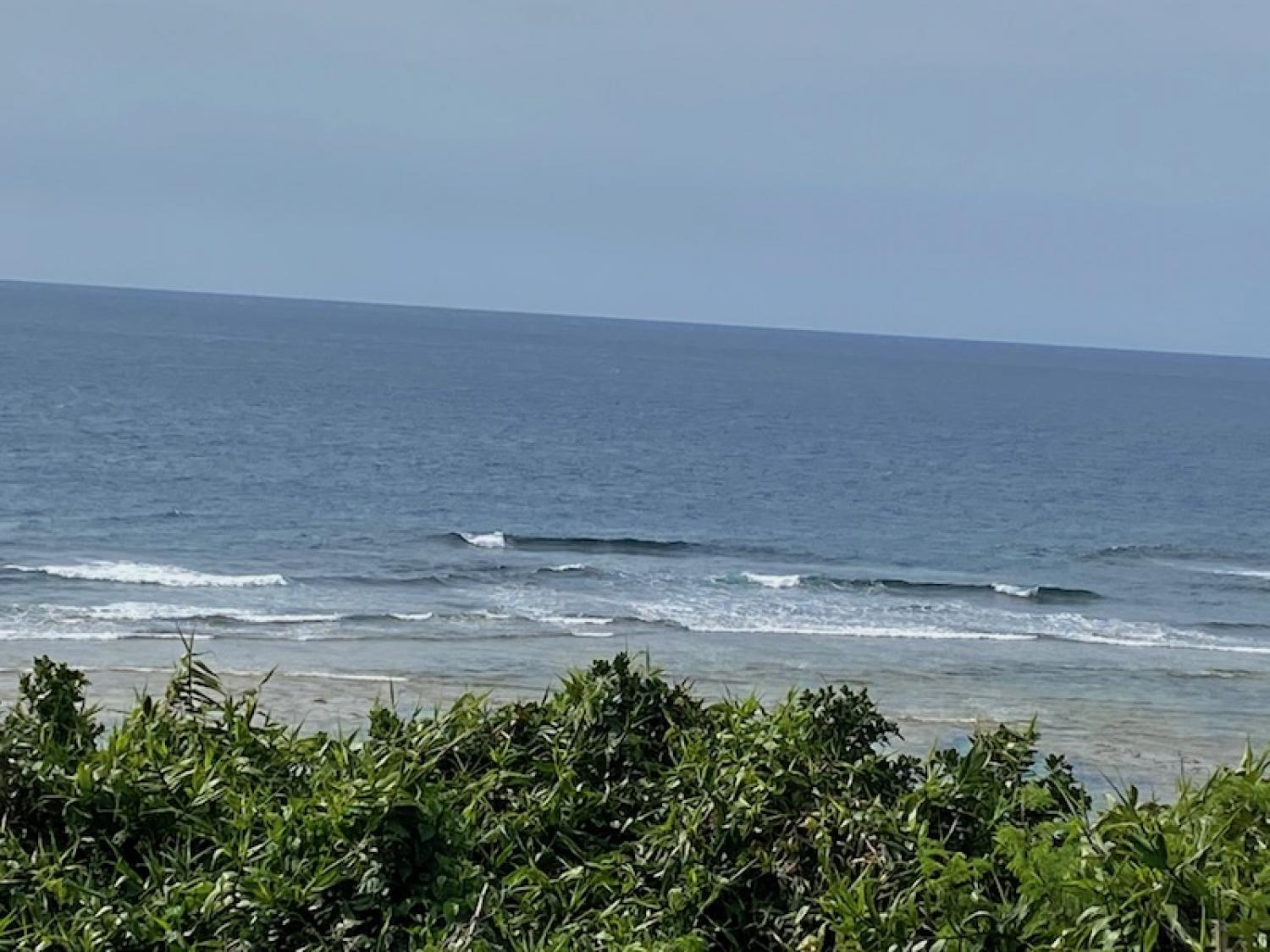 2020 Mar 24th suicide point wave information 3