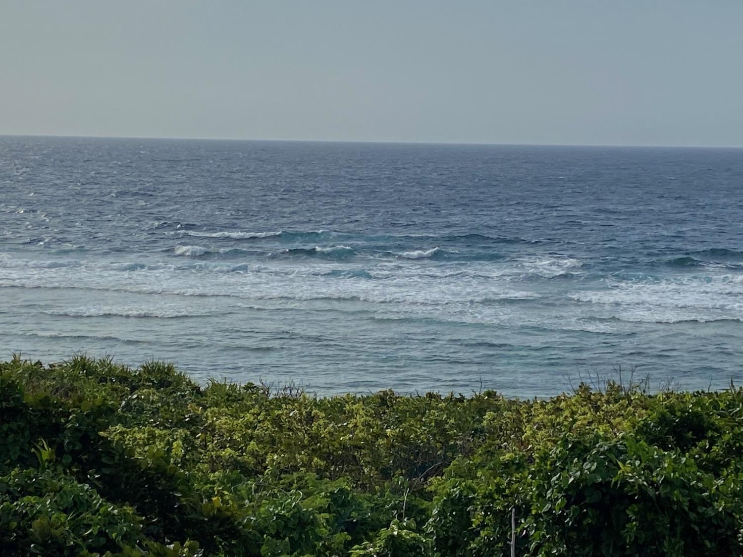 2020 Mar 27th suicide point wave information 4