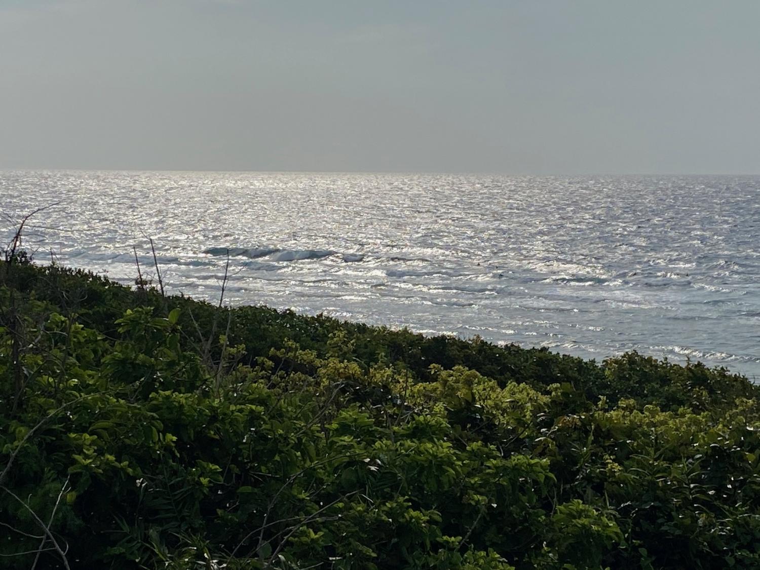 2020 Mar 27th suicide point wave information 5