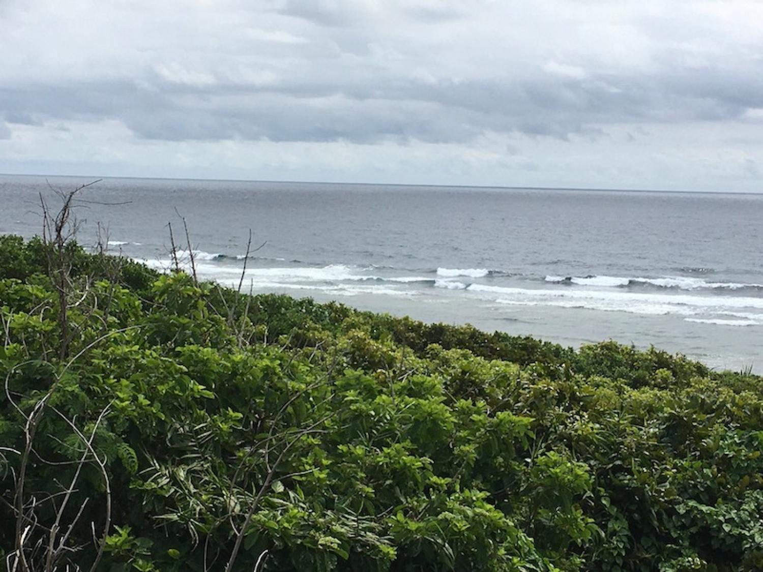 2020 Mar 30th suicide point wave information 2