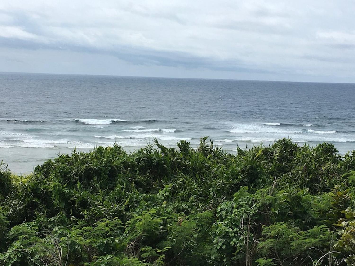 2020 Mar 30th suicide point wave information 3