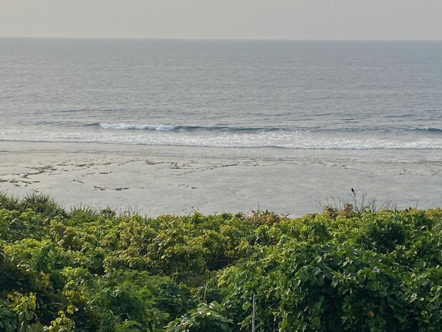 2020 Apr 3rd suicide point wave information 2
