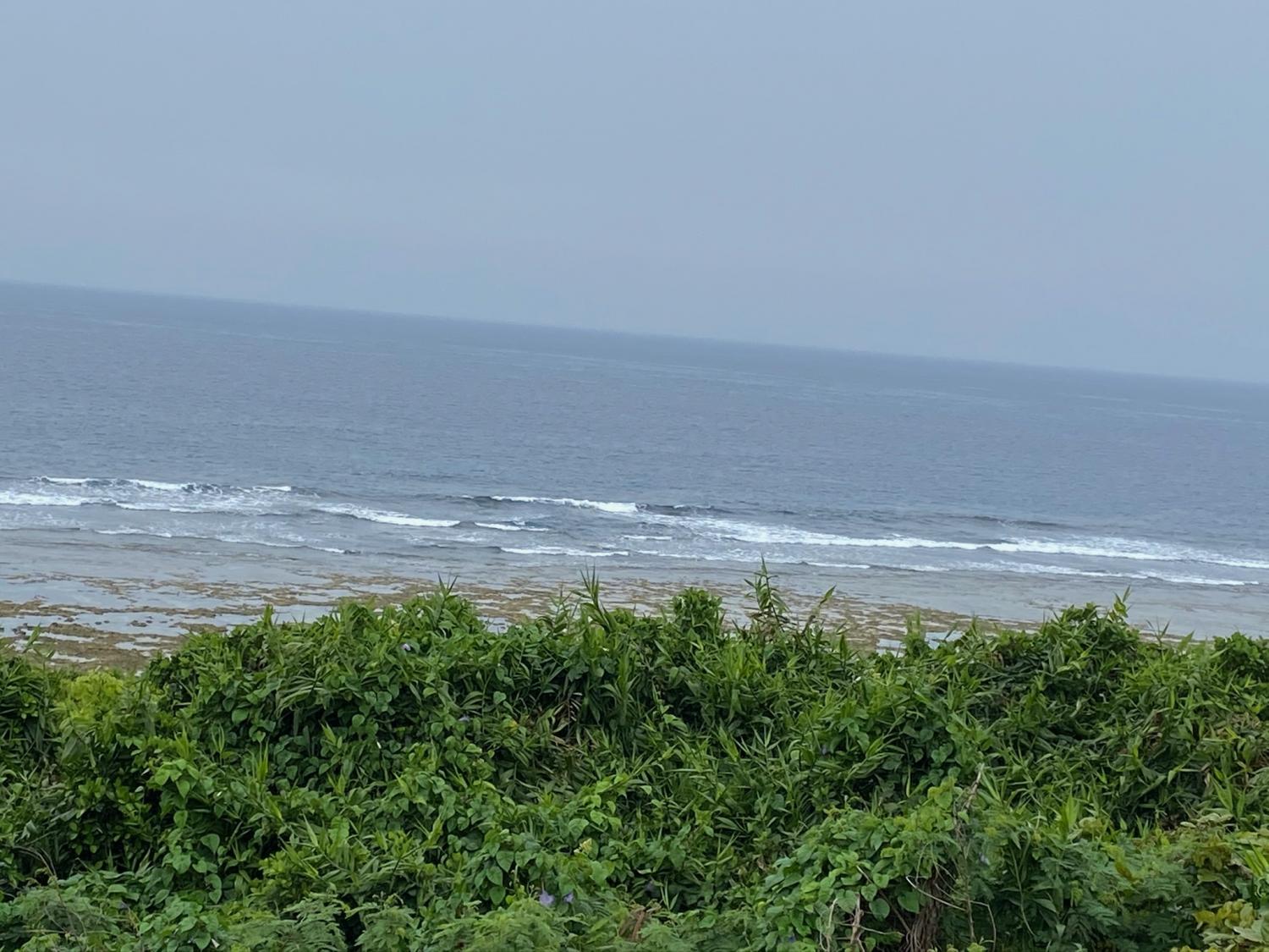 2020 Apr 4th suicide point wave information 2