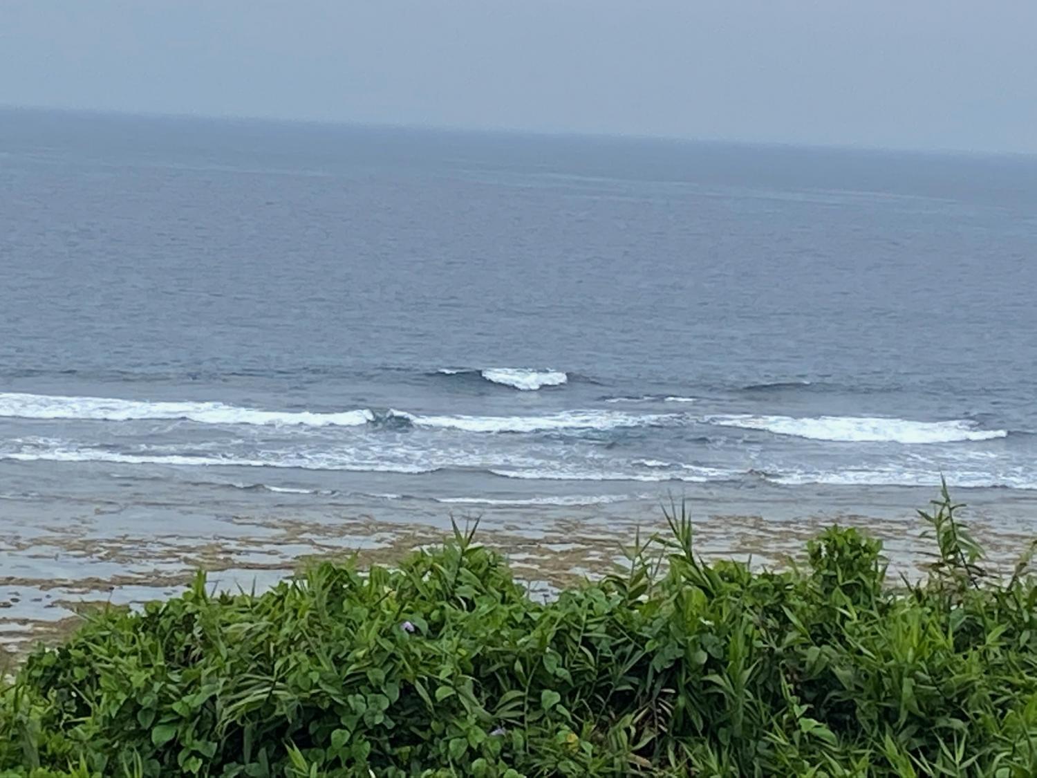 2020 Apr 4th suicide point wave information 3
