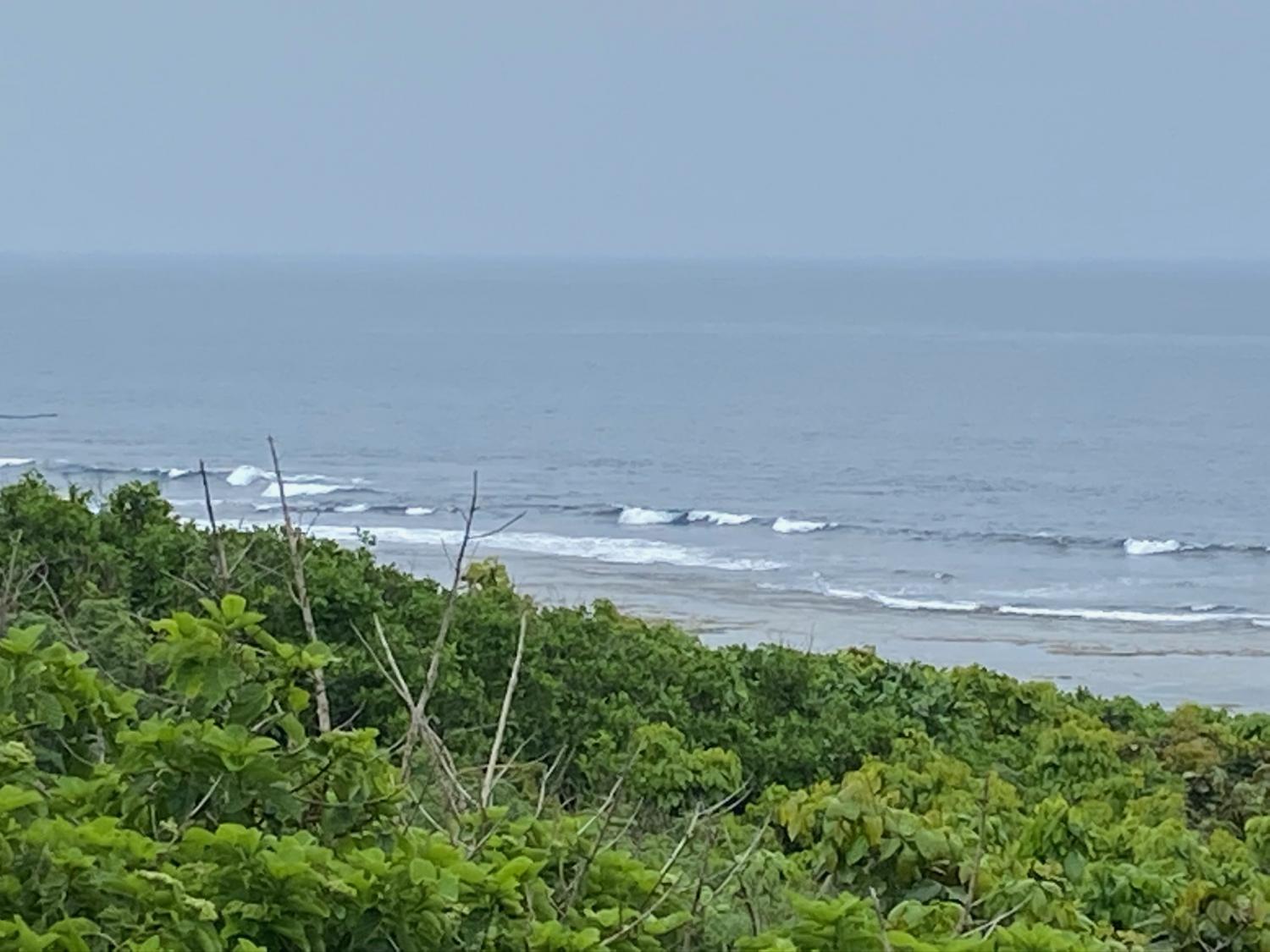 2020 Apr 4th suicide point wave information 4