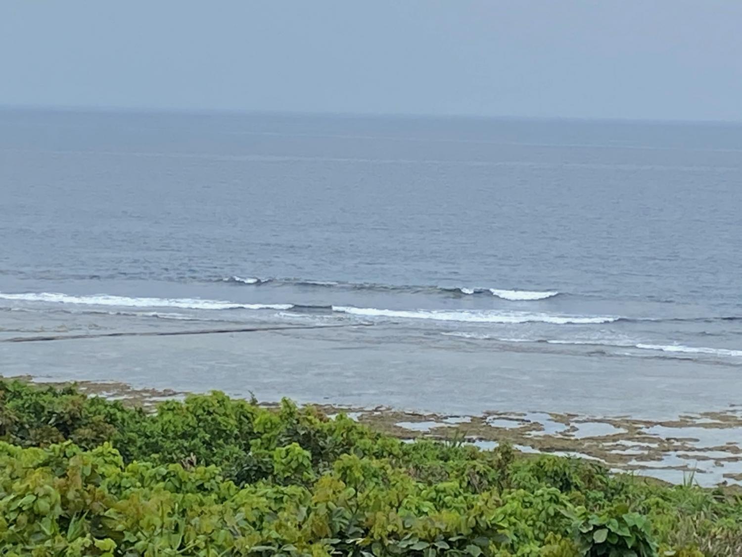 2020 Apr 4th suicide point wave information 5