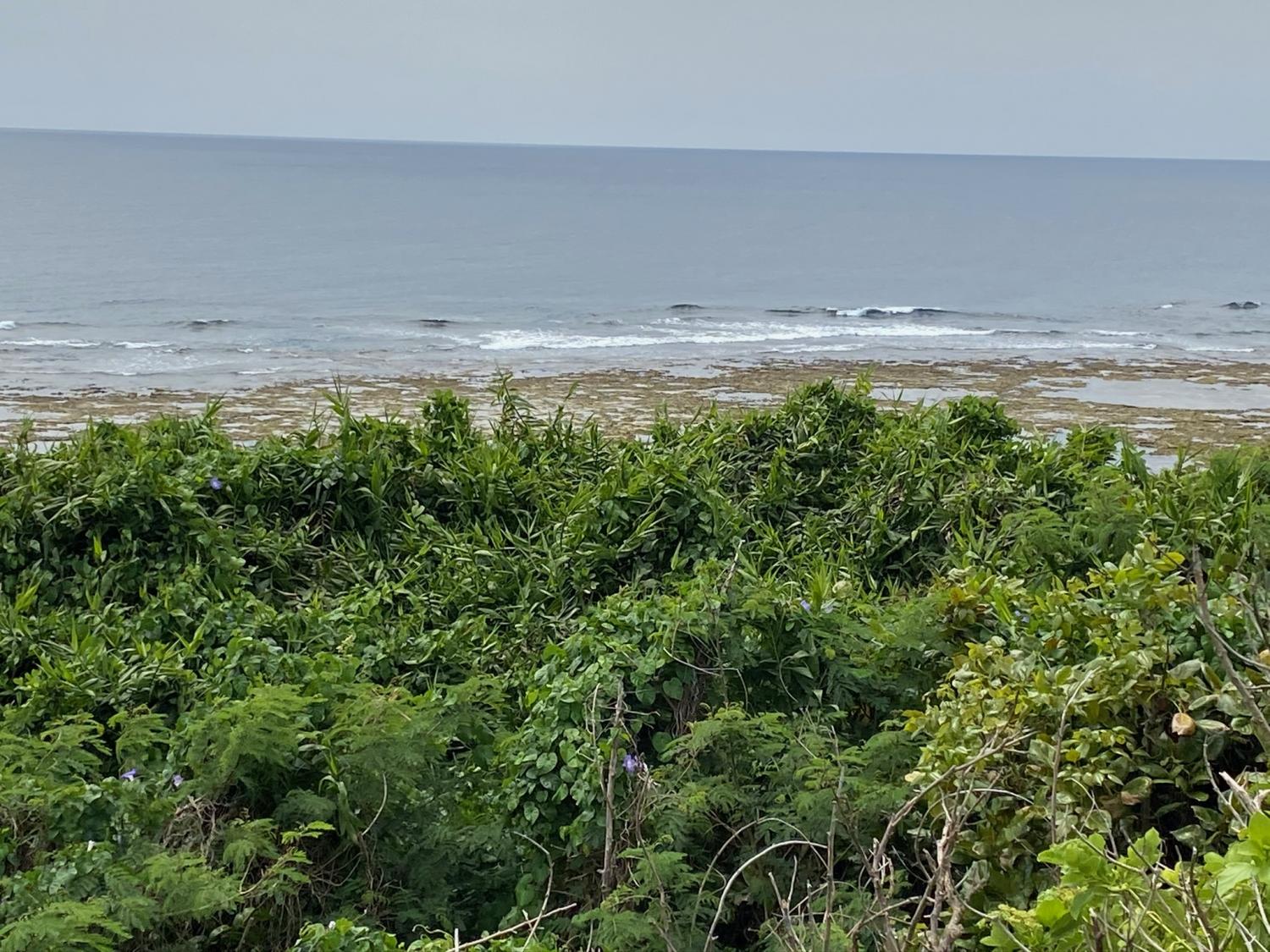 2020 Apr 5th suicide point wave information 2