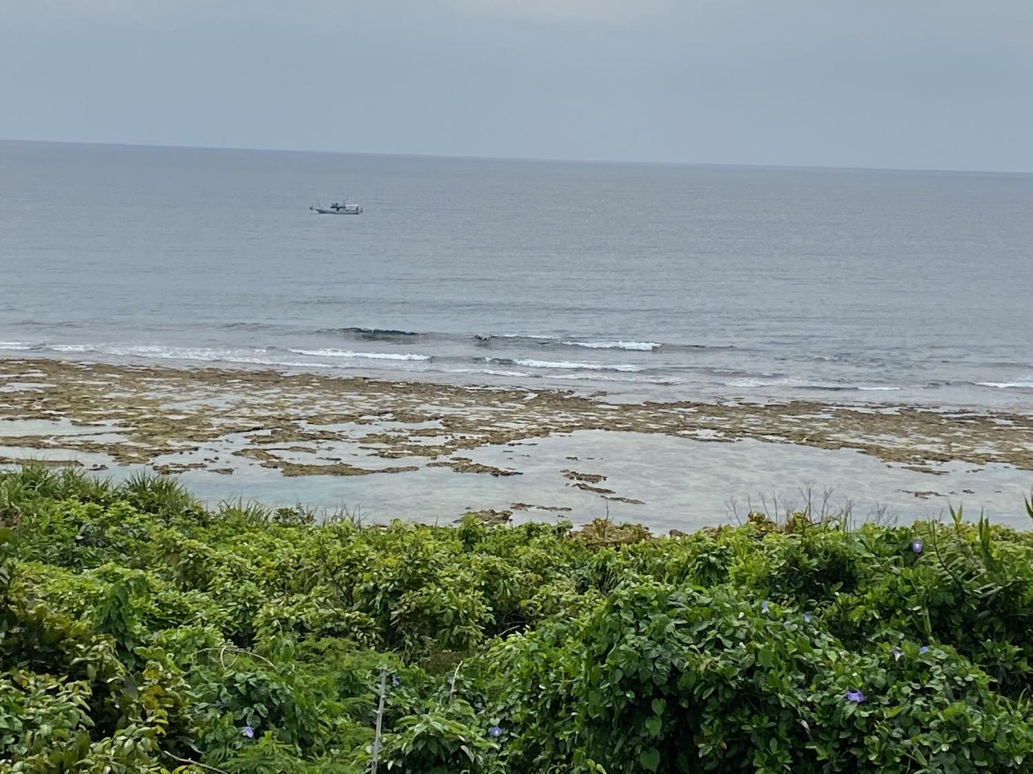 2020 Apr 5th suicide point wave information 3