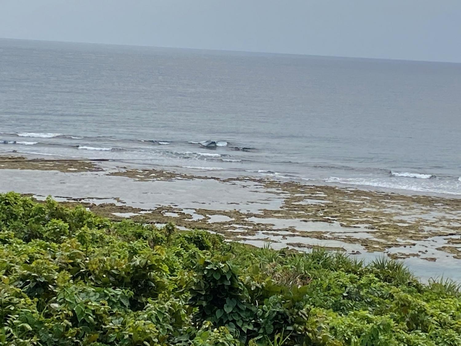 2020 Apr 5th suicide point wave information 4