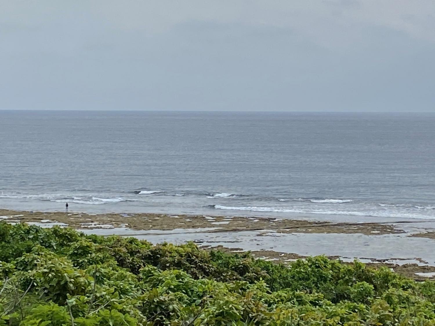 2020 Apr 5th suicide point wave information 5