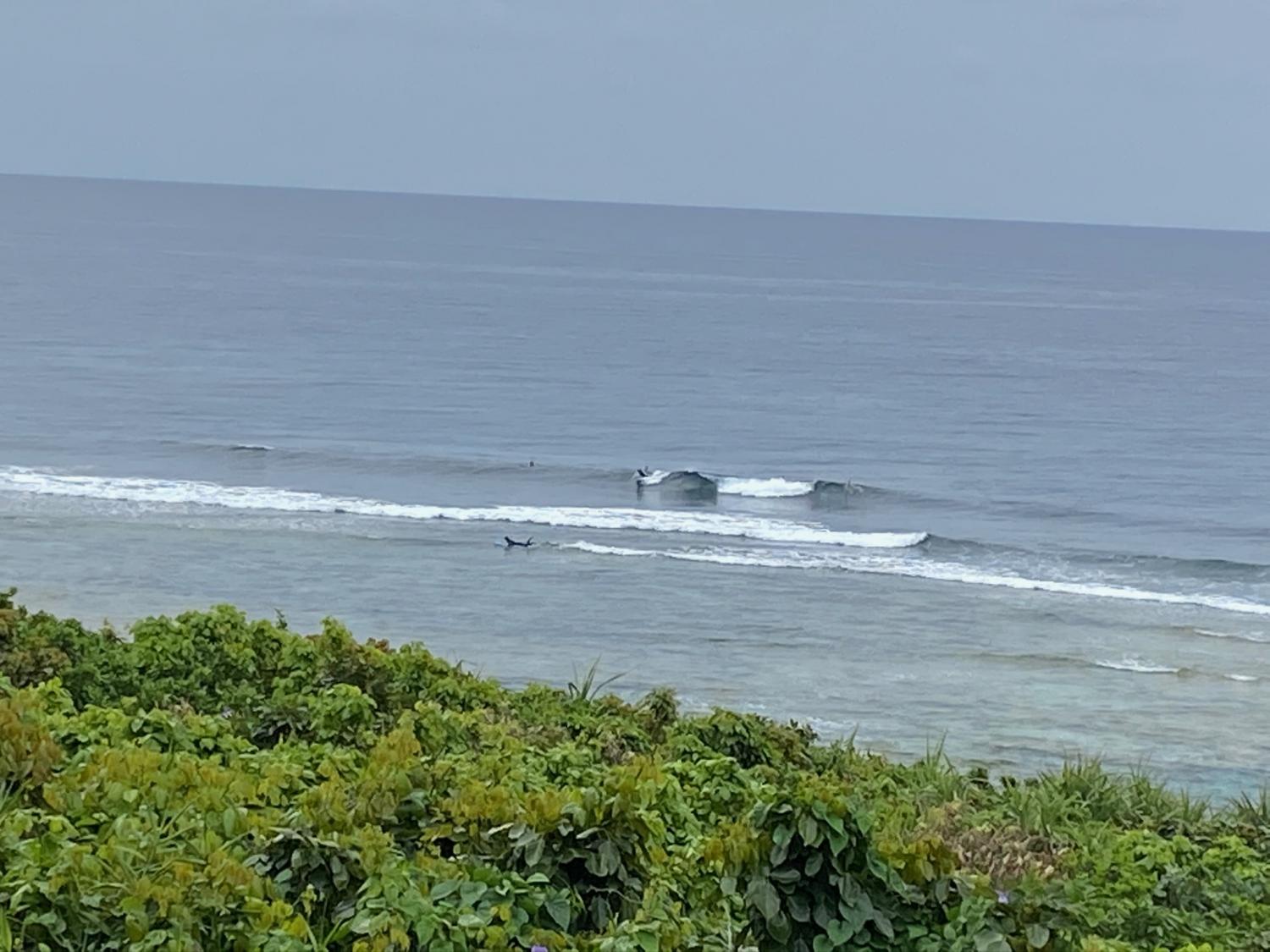 2020 Apr 6th suicide point wave information 3