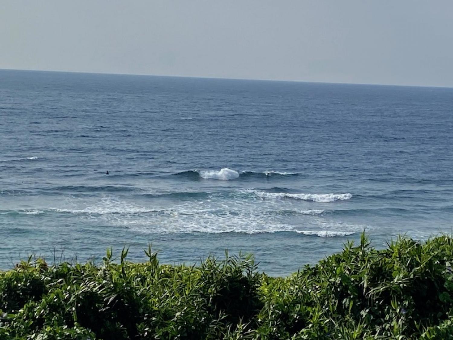 2020 Apr 10th suicide point wave information 2