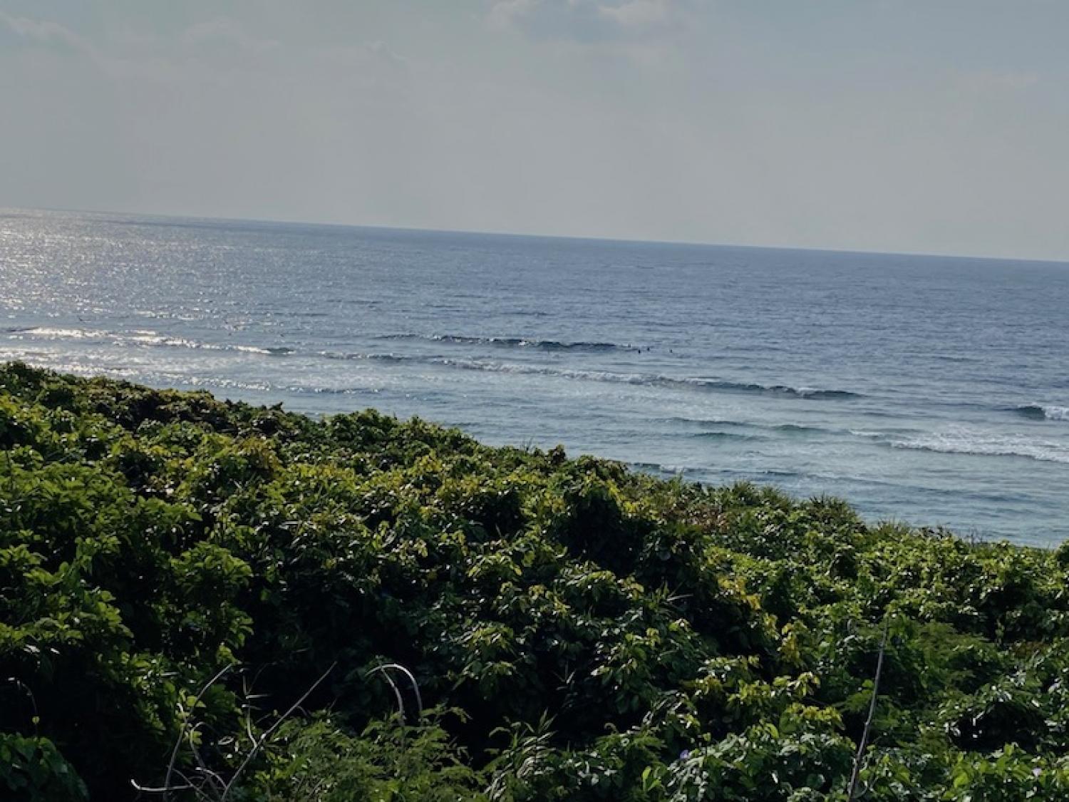 2020 Apr 10th suicide point wave information 3