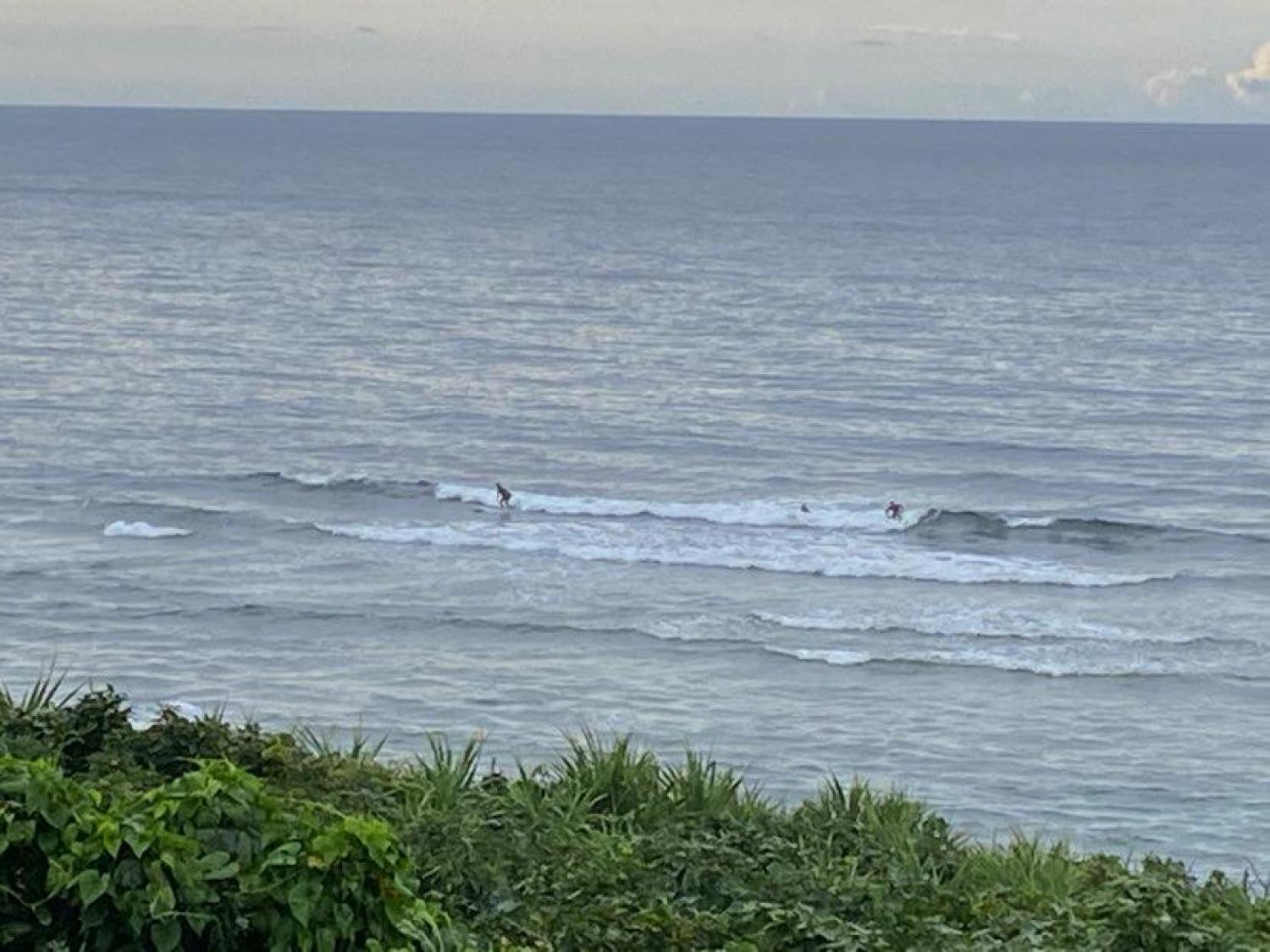 2020 Jul3rd suicide point wave information 2