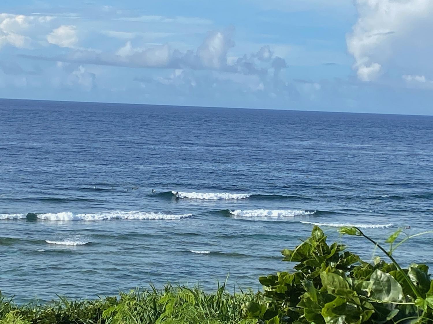 2020 Jul 5th suicide point wave information 2
