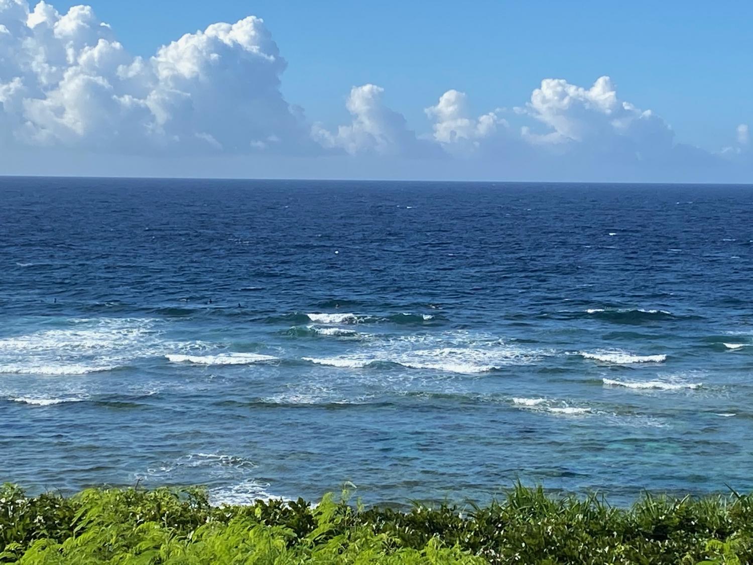 2020 Jul 10th suicide point wave information 2
