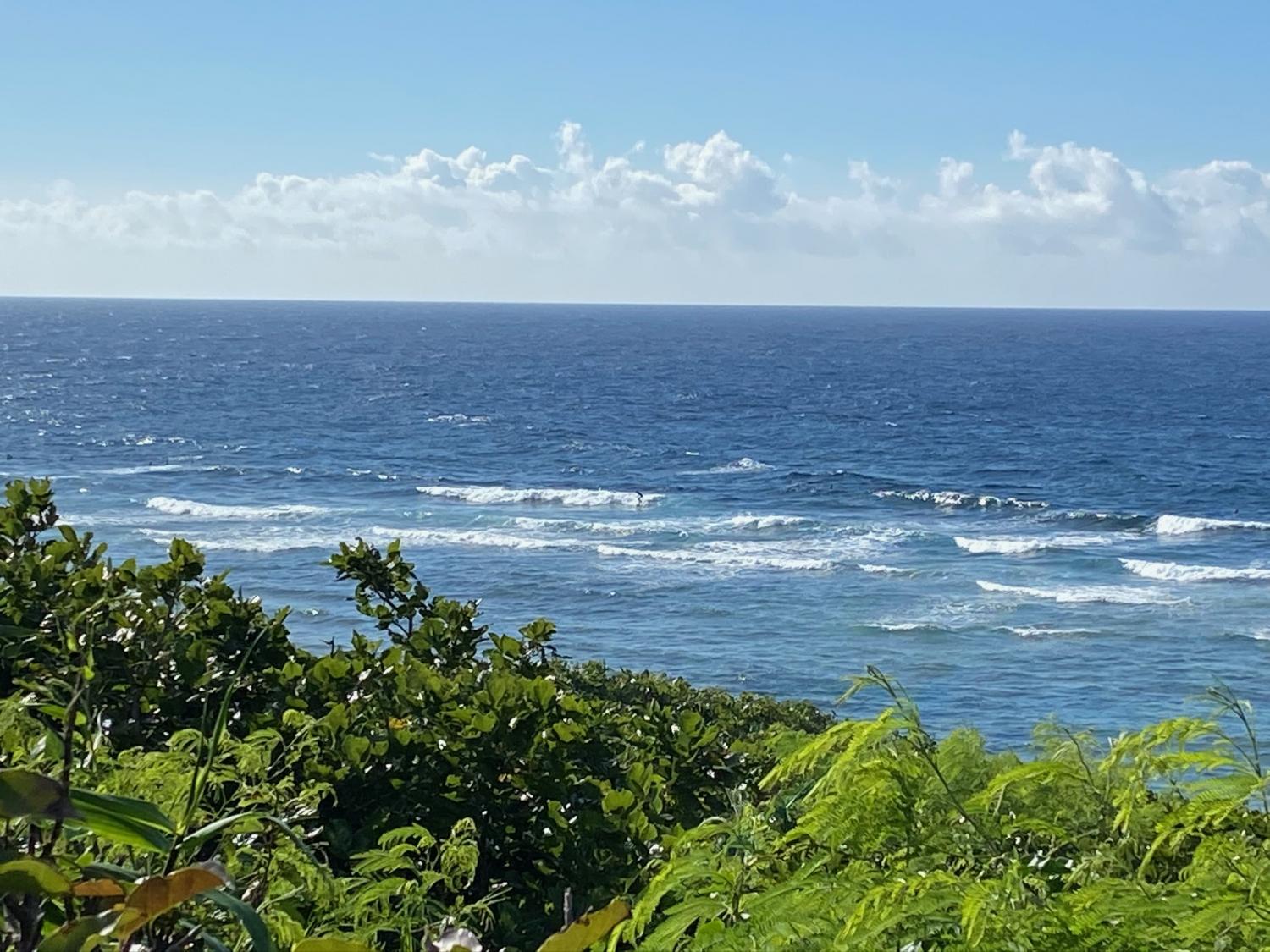 2020 Jul 10th suicide point wave information 4