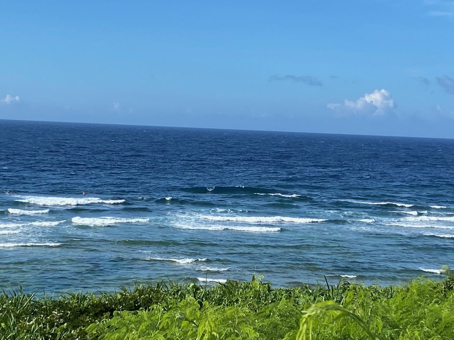 2020 Jul 10th suicide point wave information 5