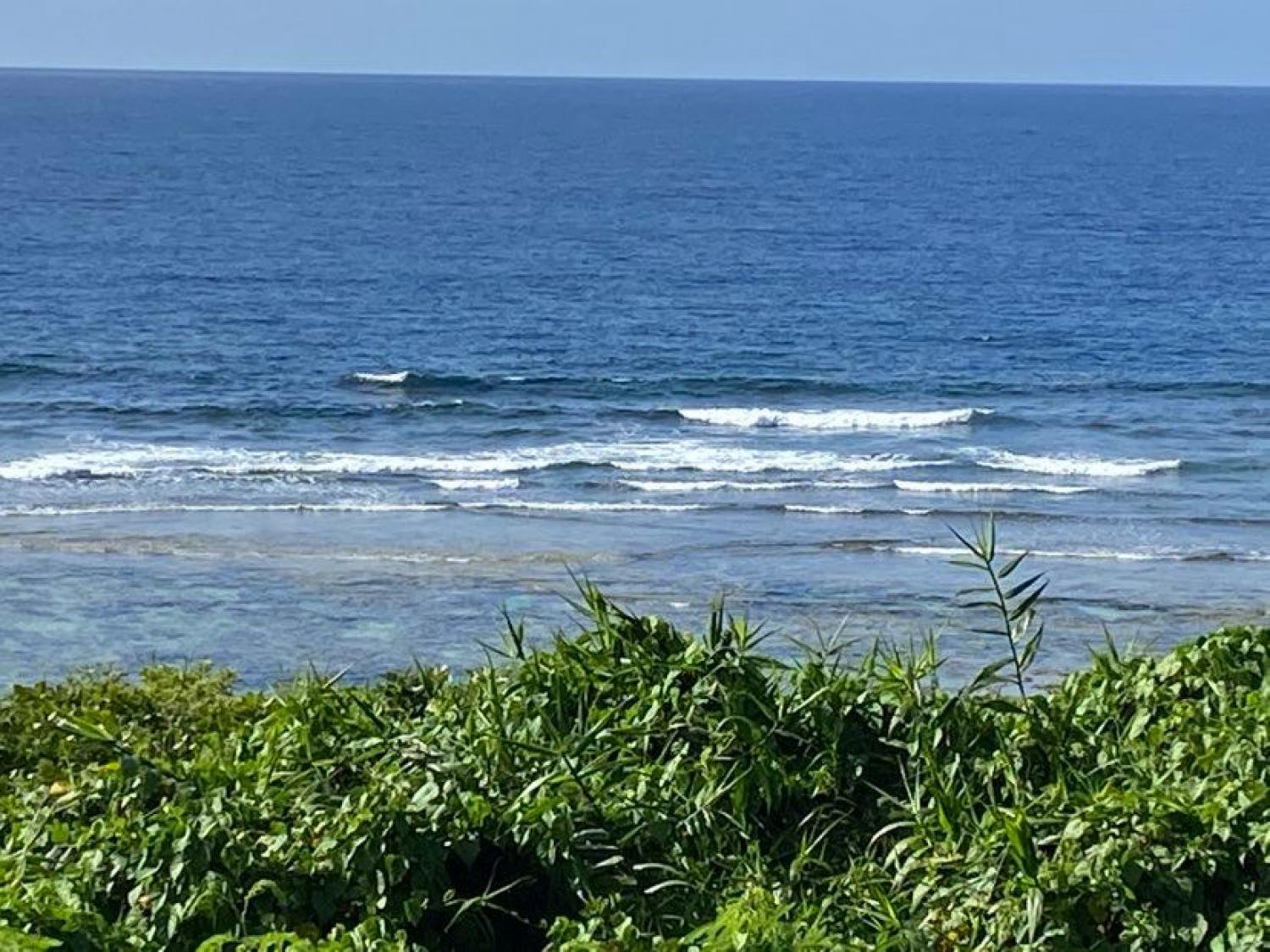 2020 Jul 13th suicide point wave information 2